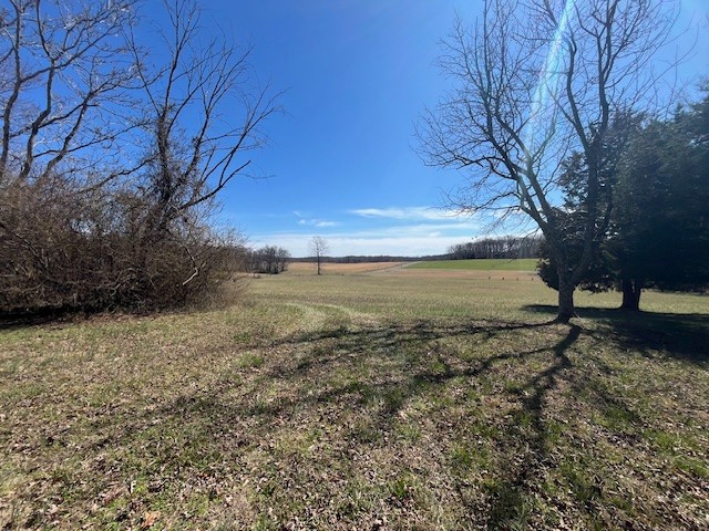 8 Pea Ridge Road Liberty, TN 37095 - Photo 8 of 27 a view of a yard with a tree