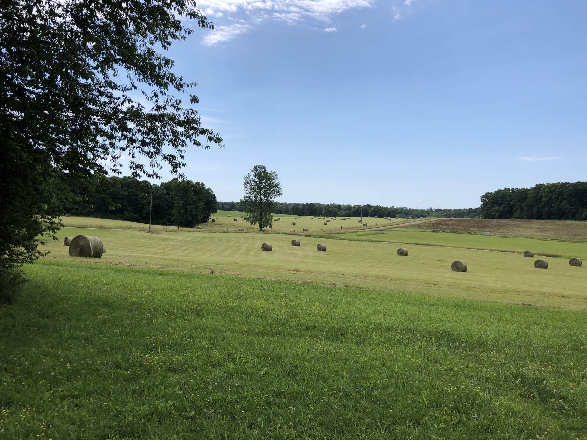 8 Pea Ridge Road Liberty, TN 37095 - Photo 10 of 27 a view of a golf course with a lake