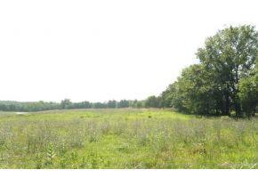 2275 Weems Chapel Road Mosheim, TN 37818 - Photo 11 of 12 Photo 11