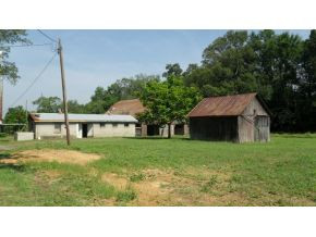 2275 Weems Chapel Road Mosheim, TN 37818 - Photo 3 of 12 Photo 3