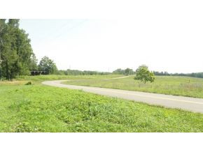 2275 Weems Chapel Road Mosheim, TN 37818 - Photo 8 of 12 Photo 8