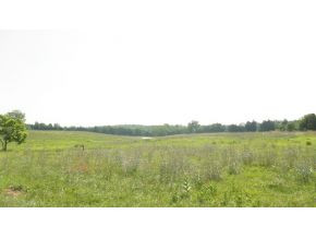 2275 Weems Chapel Road Mosheim, TN 37818 - Photo 10 of 12 Photo 10