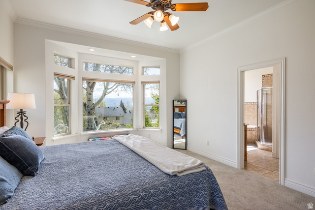 384 Tanner Lane Midway, UT 84049 - Photo 23 of 79