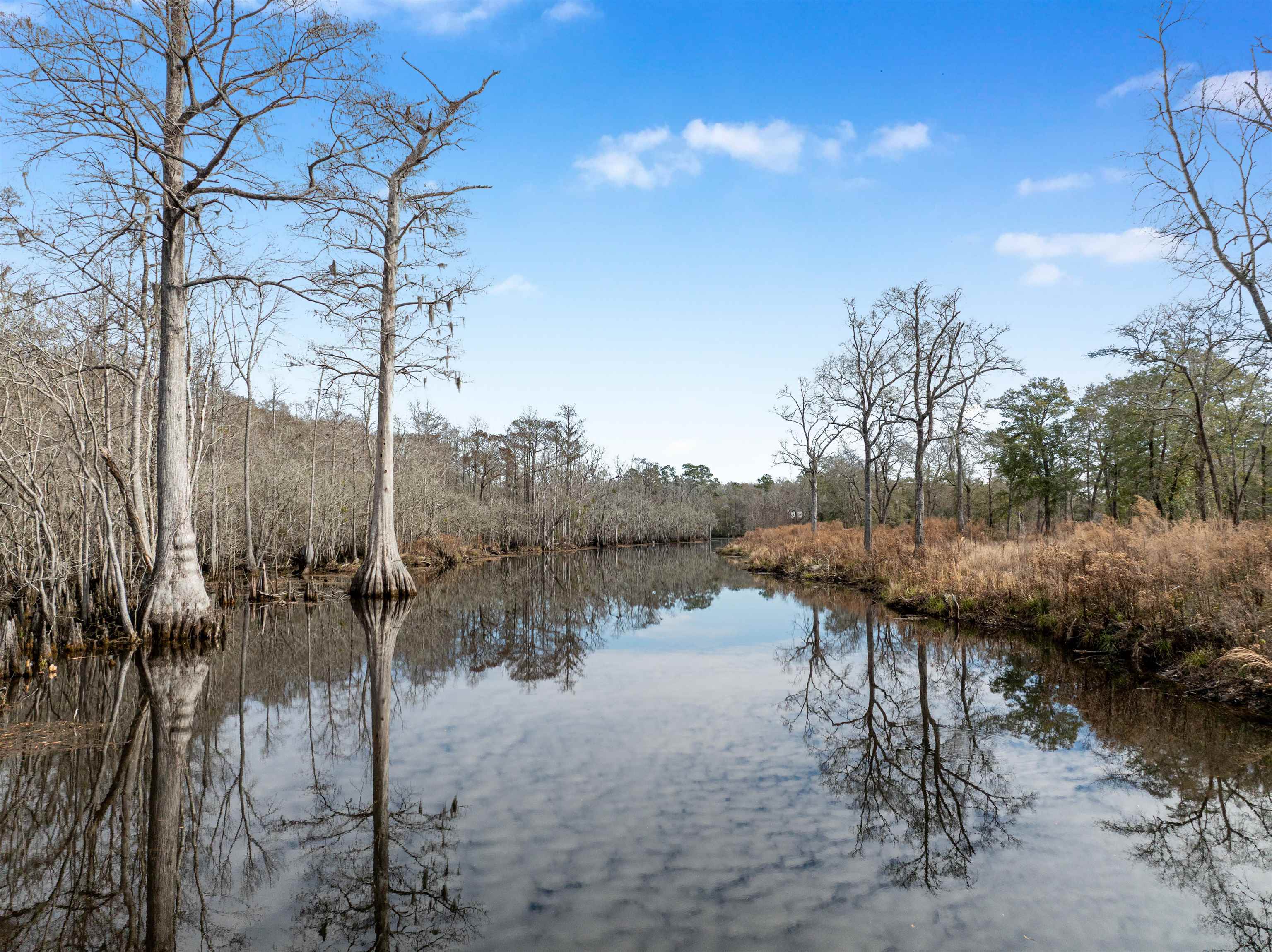 Tbd Reds Landing Road Andrews, SC 29510 - Photo 17 of 22