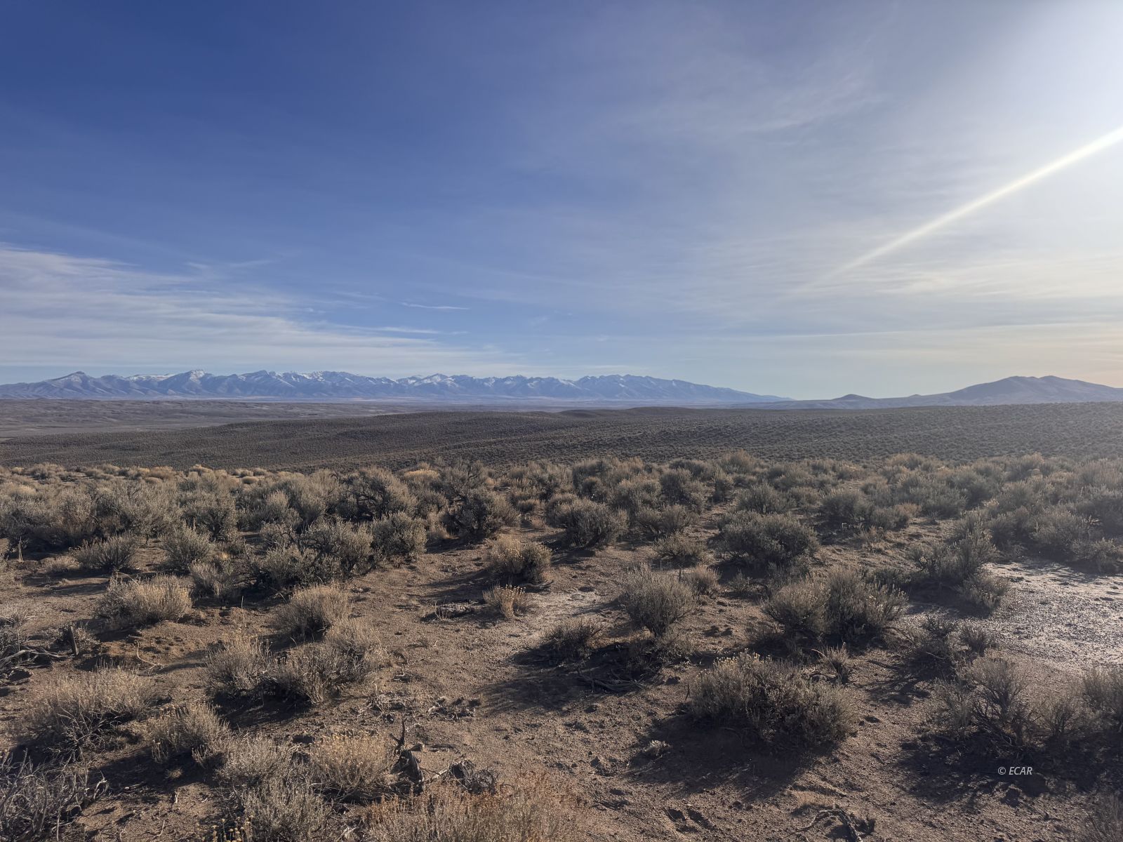 33 Twp 37n Elko, NV 89801 - Photo 16 of 29