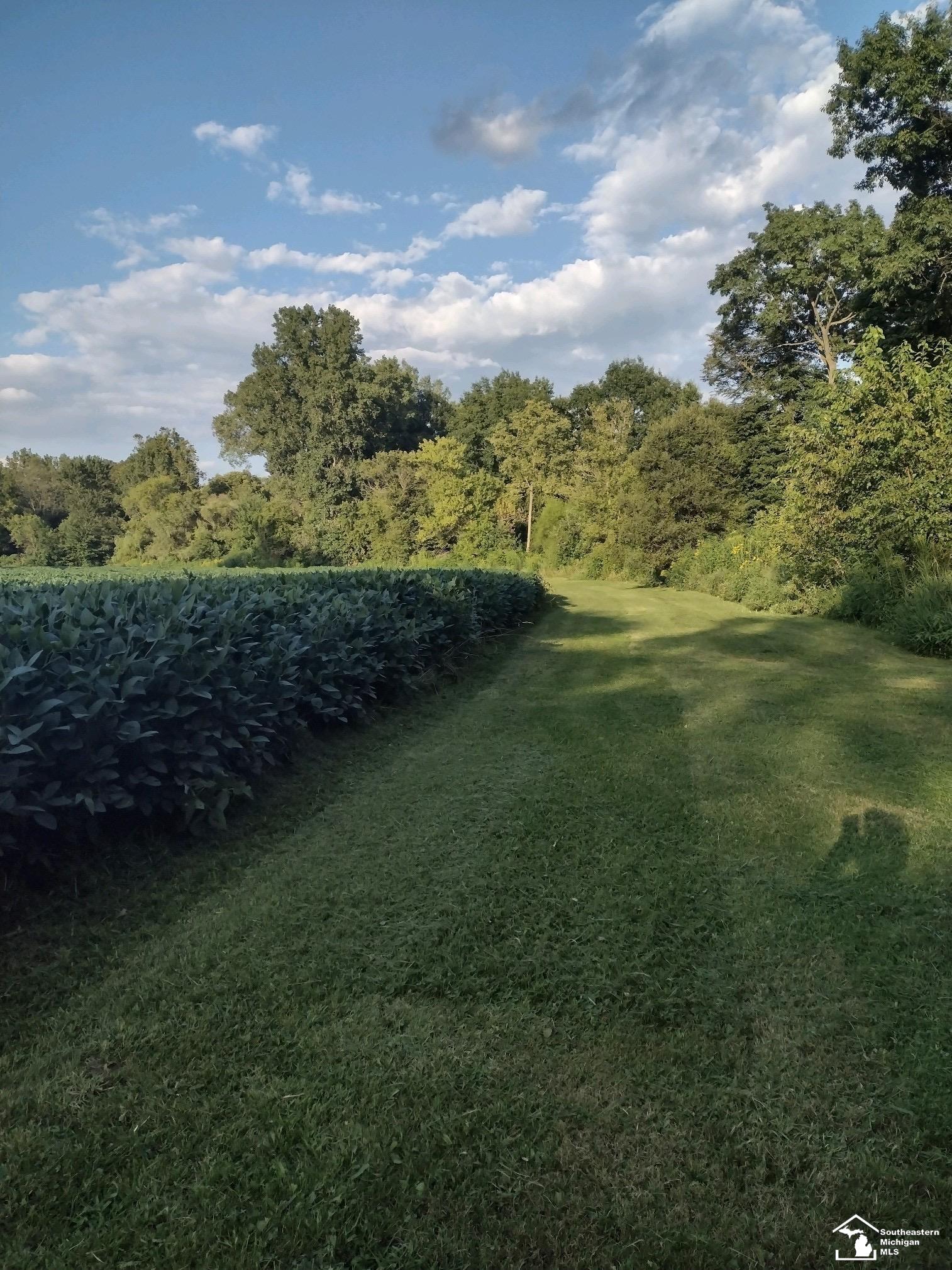 11936 Bunce Road Milan, MI 48160 - Photo 25 of 39