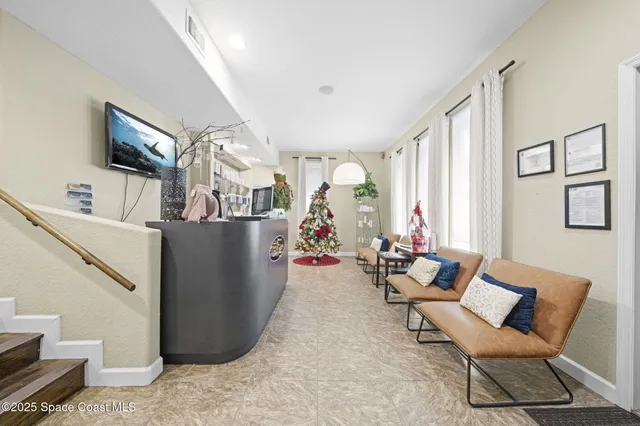 a living room with furniture and a potted plant