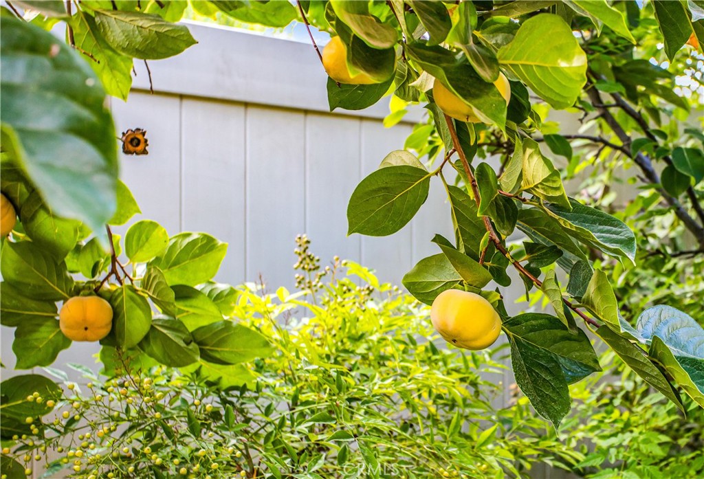 1763 Brittney Road Beaumont, CA 92223 - Photo 22 of 26