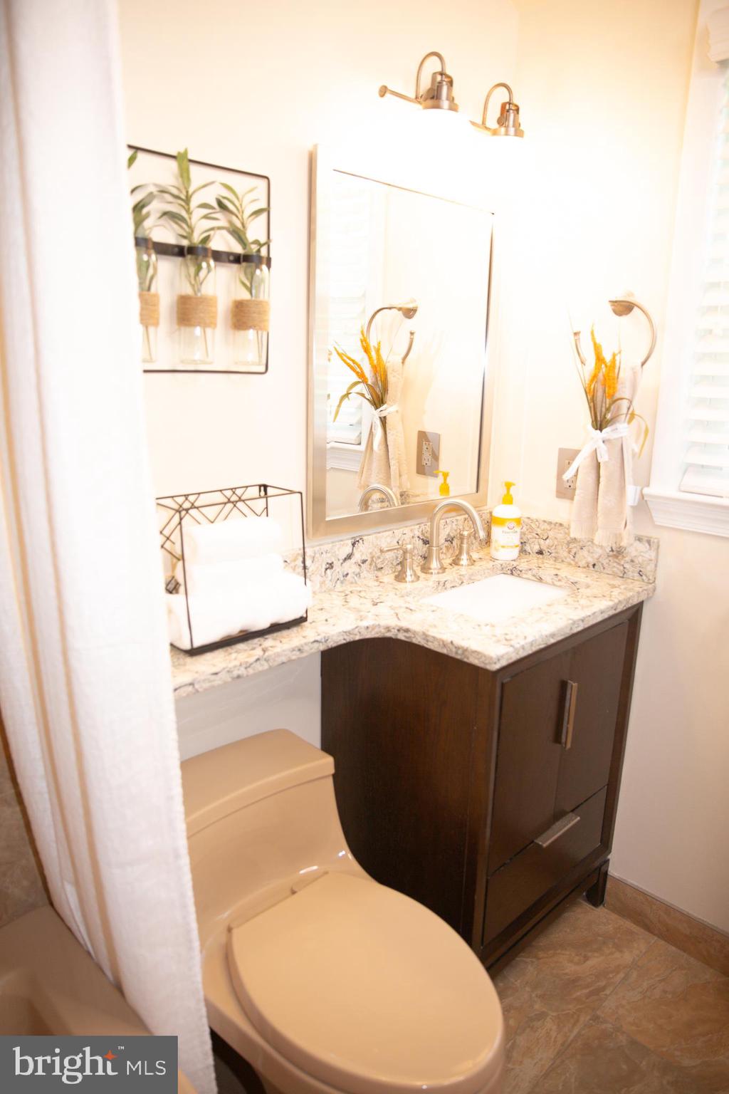 7110 Good Luck Road Hyattsville, MD 20784 - Photo 17 of 46 Primary Bedroom Ensuite Bathroom