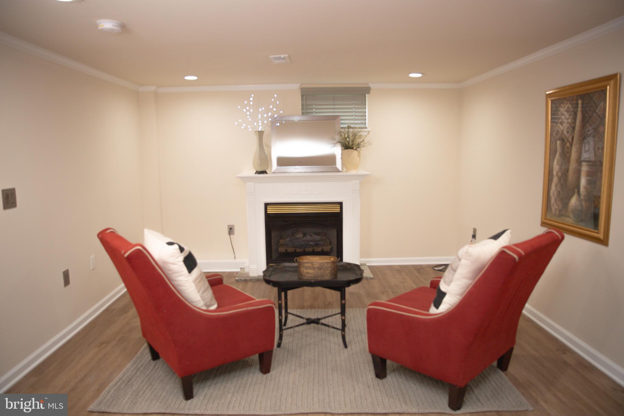 7110 Good Luck Road Hyattsville, MD 20784 - Photo 31 of 46 Lower Level Sitting Area