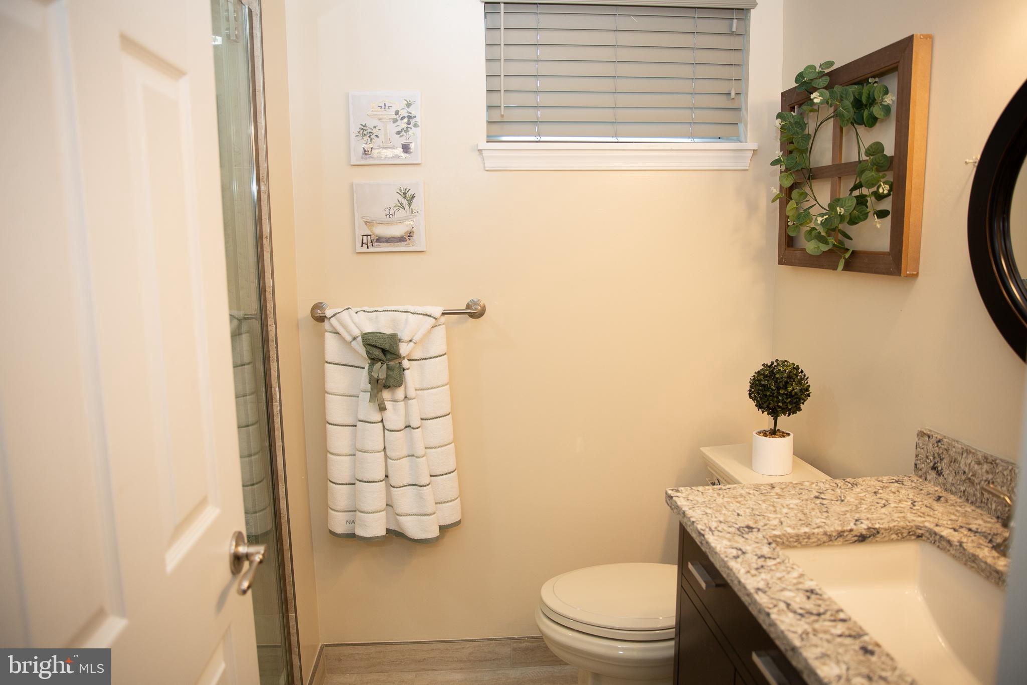 7110 Good Luck Road Hyattsville, MD 20784 - Photo 38 of 46 Lower Level Bathroom