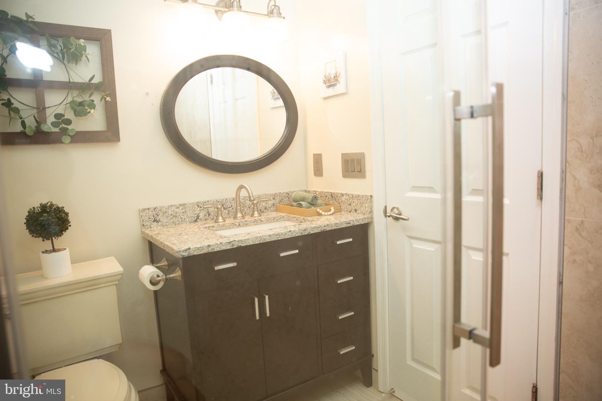 7110 Good Luck Road Hyattsville, MD 20784 - Photo 39 of 46 Lower Level Bathroom