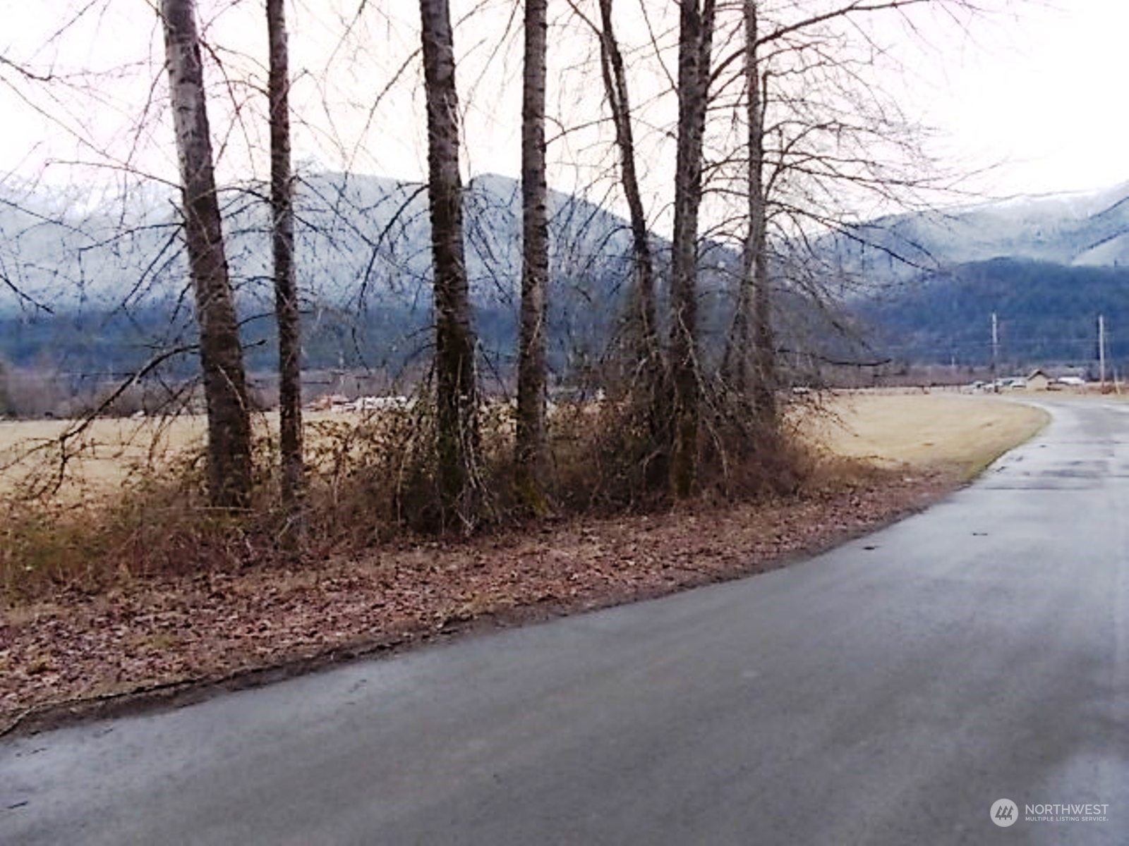 115 River Ranch Road Randle, WA 98377 - Photo 3 of 10 Gallery Image 3