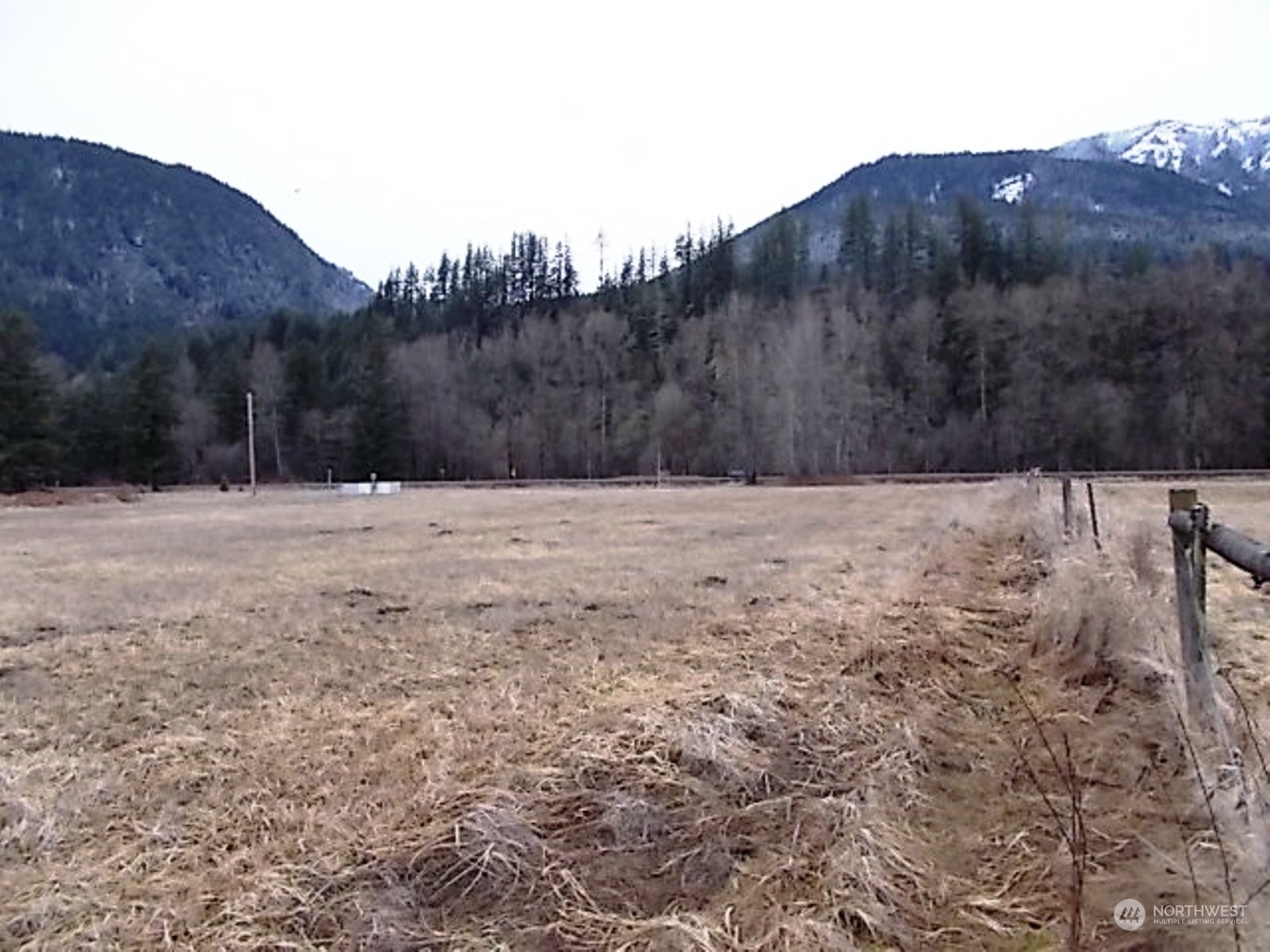 115 River Ranch Road Randle, WA 98377 - Photo 6 of 10 Gallery Image 6