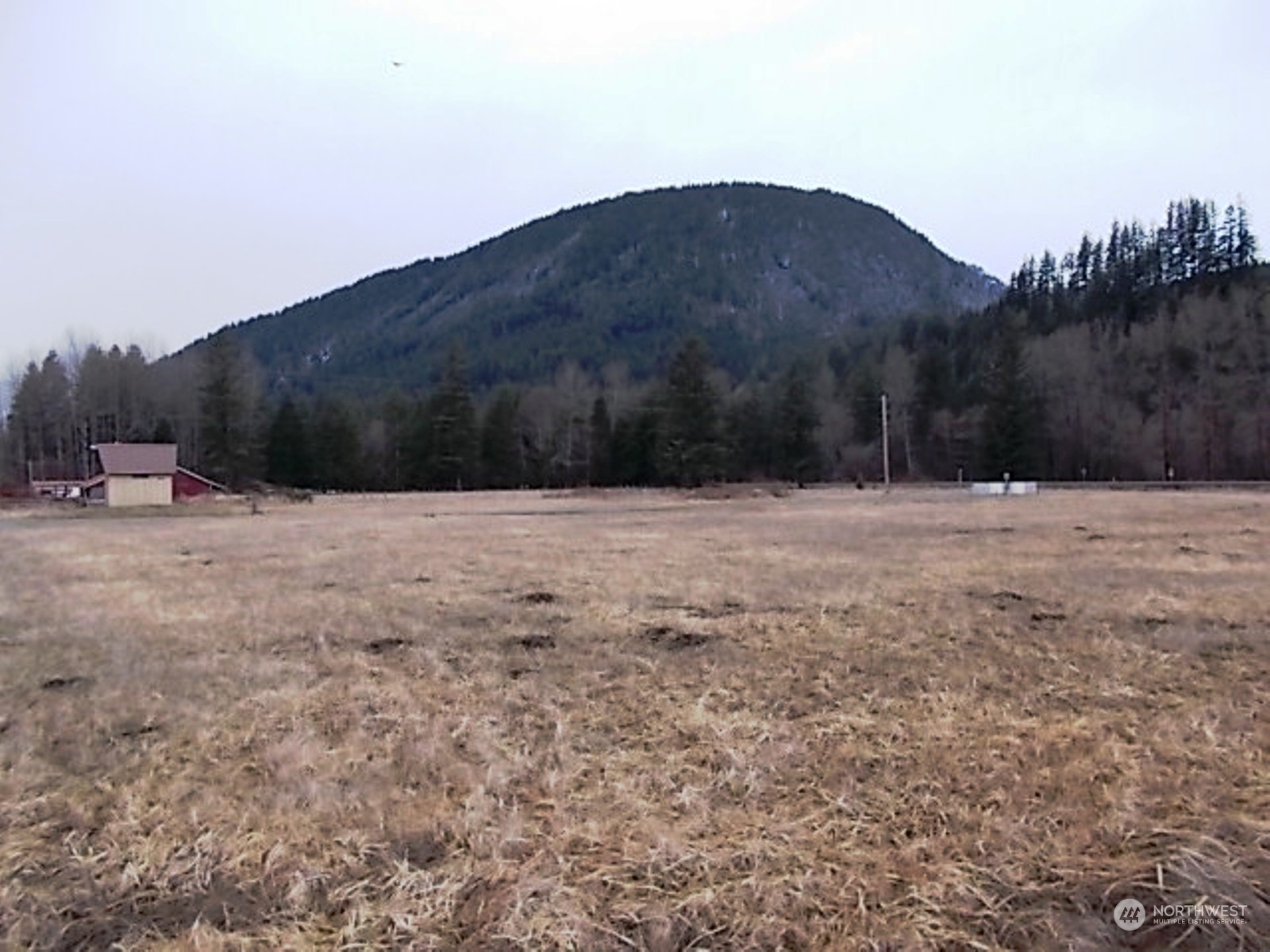 115 River Ranch Road Randle, WA 98377 - Photo 7 of 10 Gallery Image 7