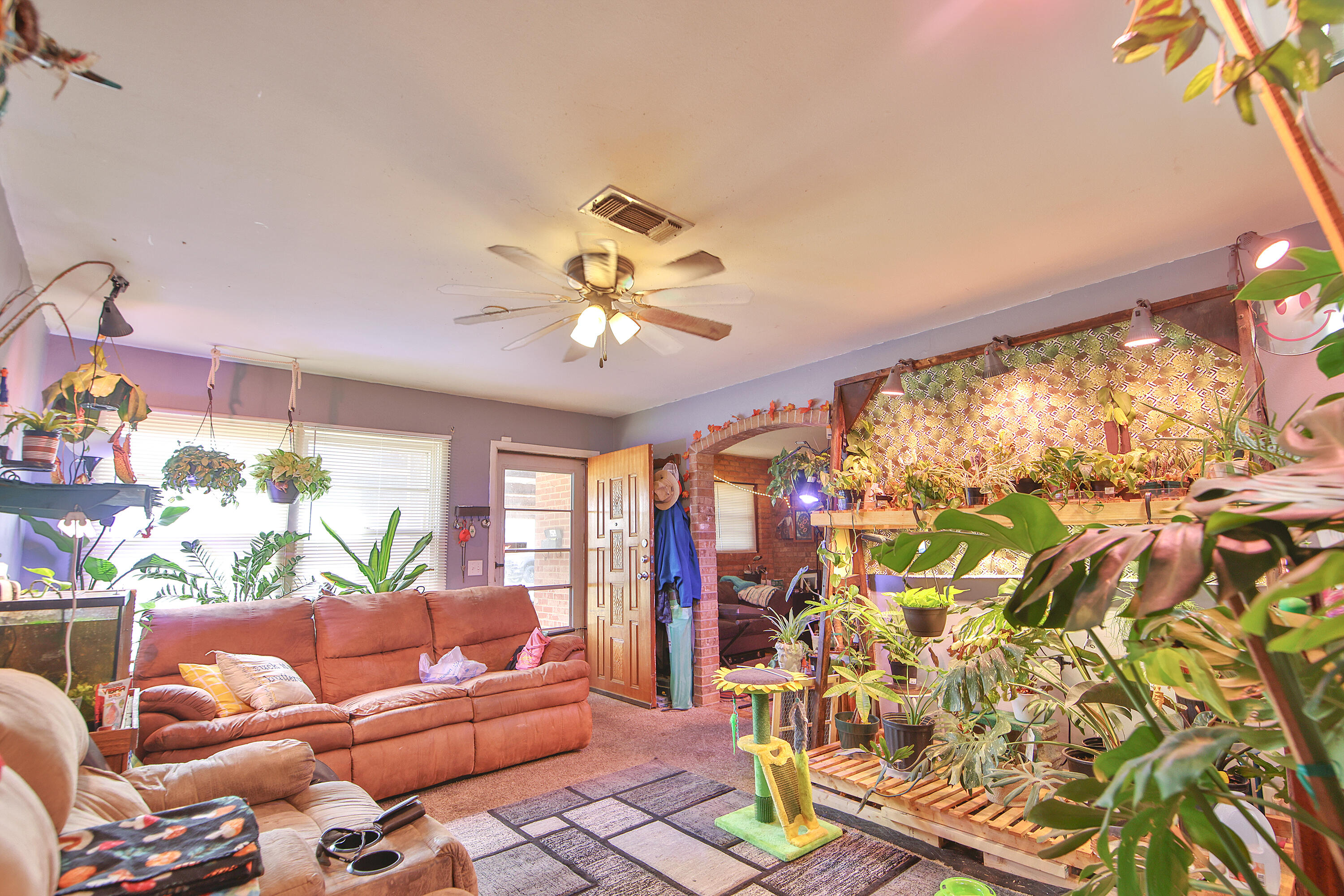 4518 49th Street Lubbock, TX 79414 - Photo 25 of 32 a living room with furniture and a large window