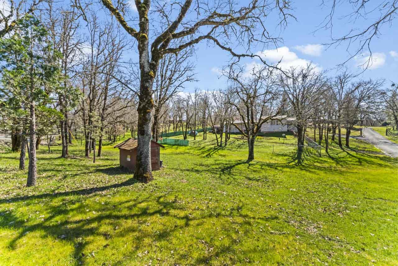 650 Three Pines Road Grants Pass, OR 97526 - Photo 29 of 48 a view of an trees with a big yard
