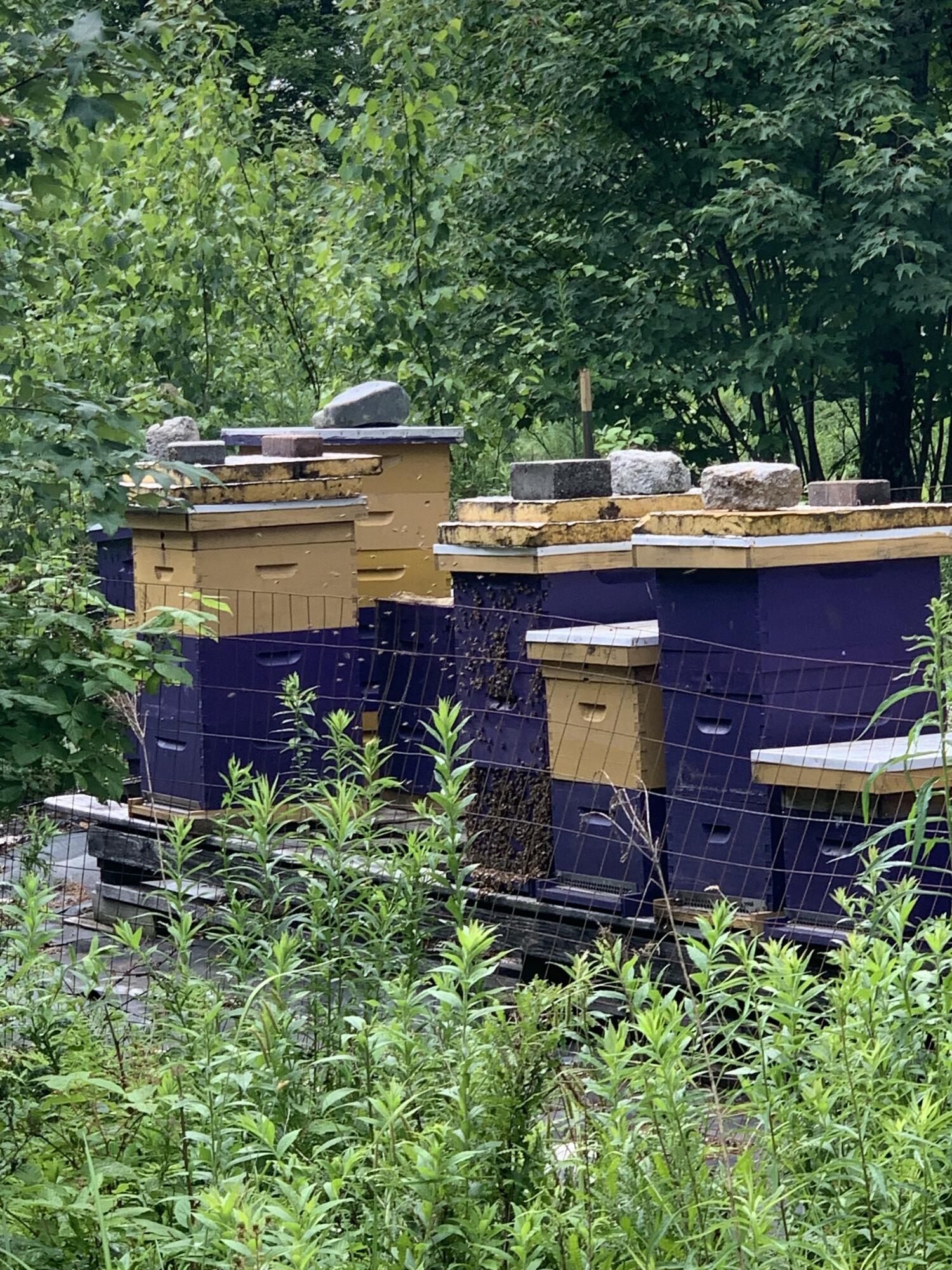 25 Bucksmills Road Bucksport, ME 04416 - Photo 51 of 52 25BMR5