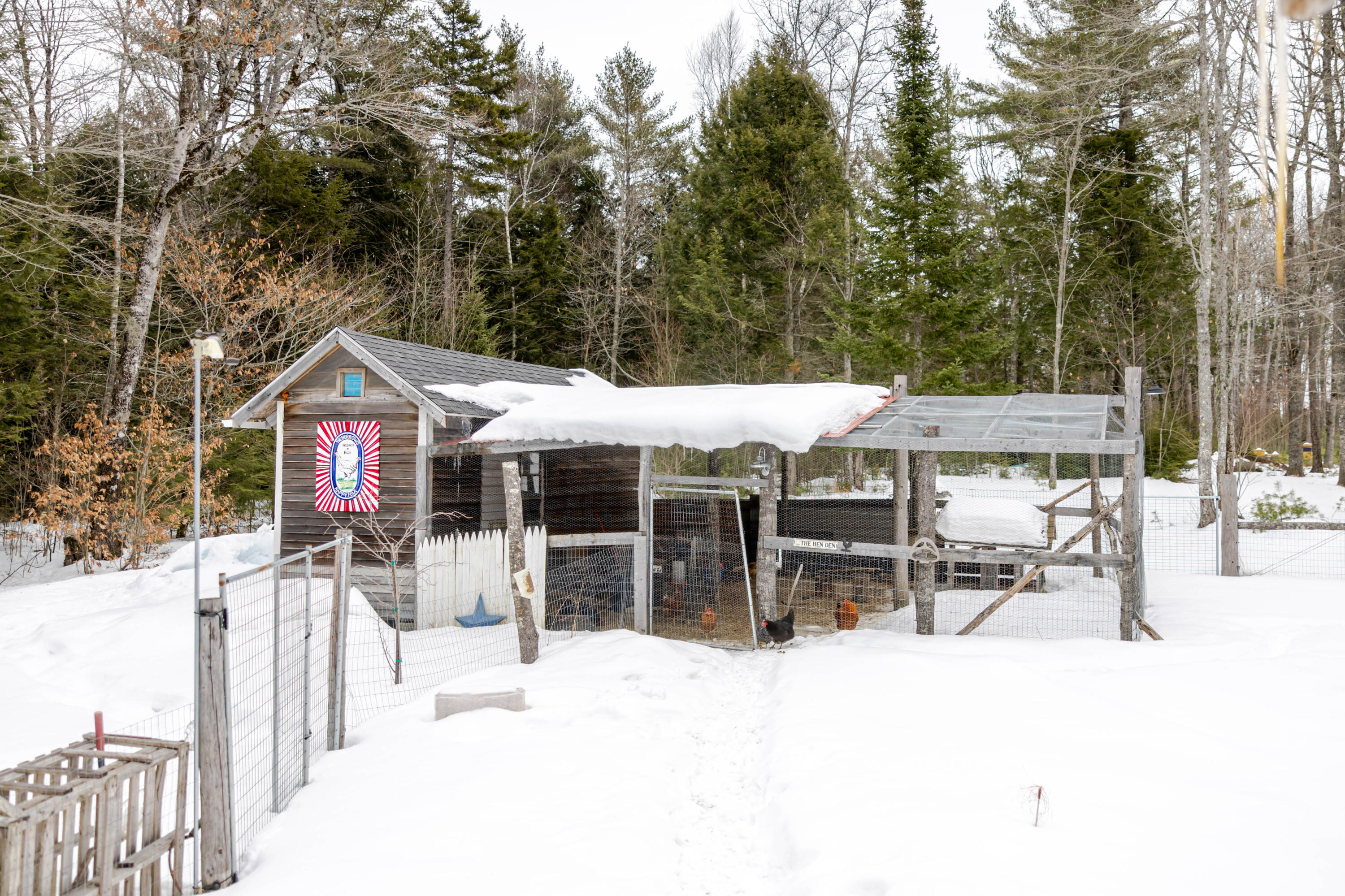 25 Bucksmills Road Bucksport, ME 04416 - Photo 52 of 52 25BUCKSMILLSRD-53