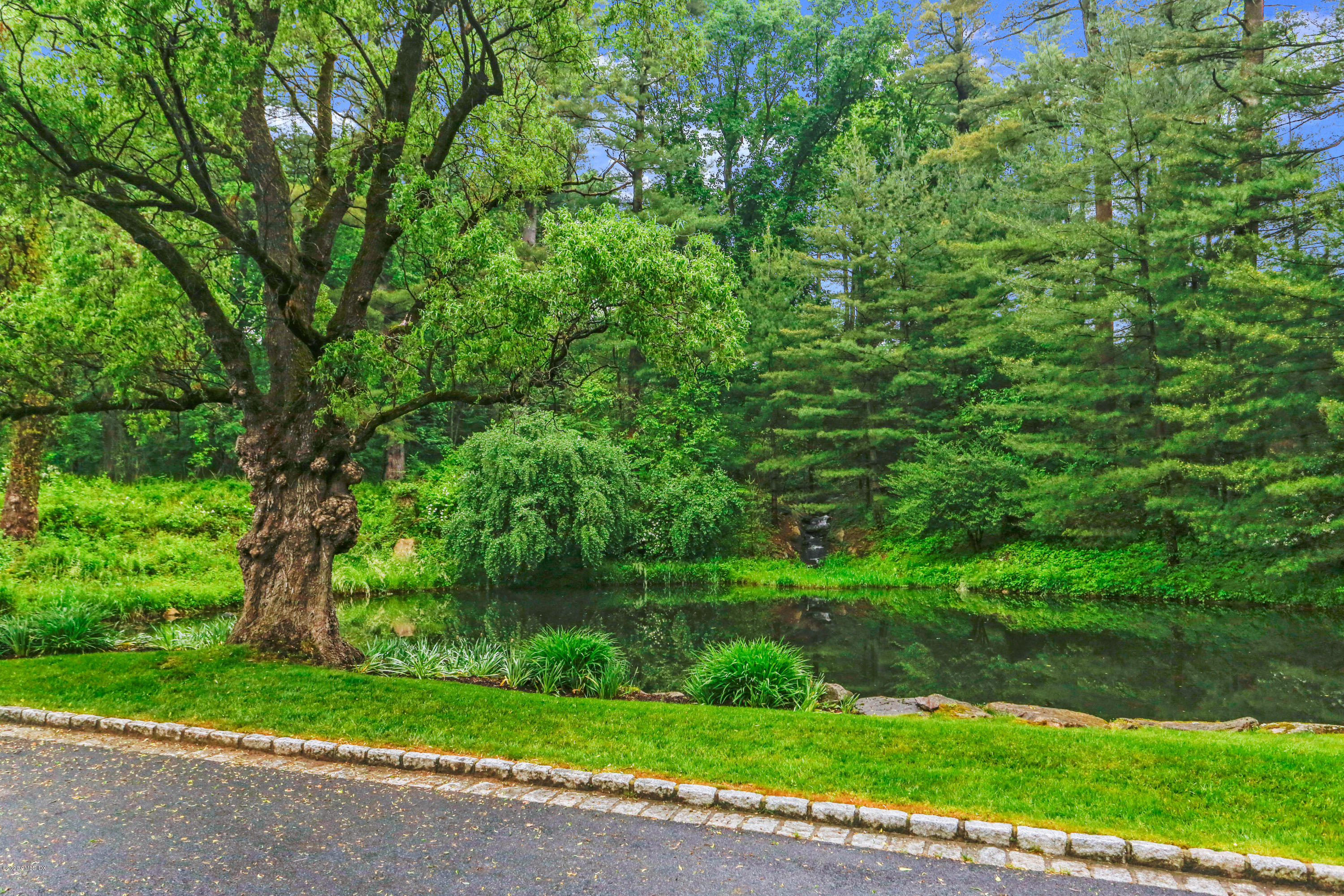 65 Ridgeview Avenue Greenwich, CT 06830 - Photo 41 of 50 a view of a yard with plants and large trees