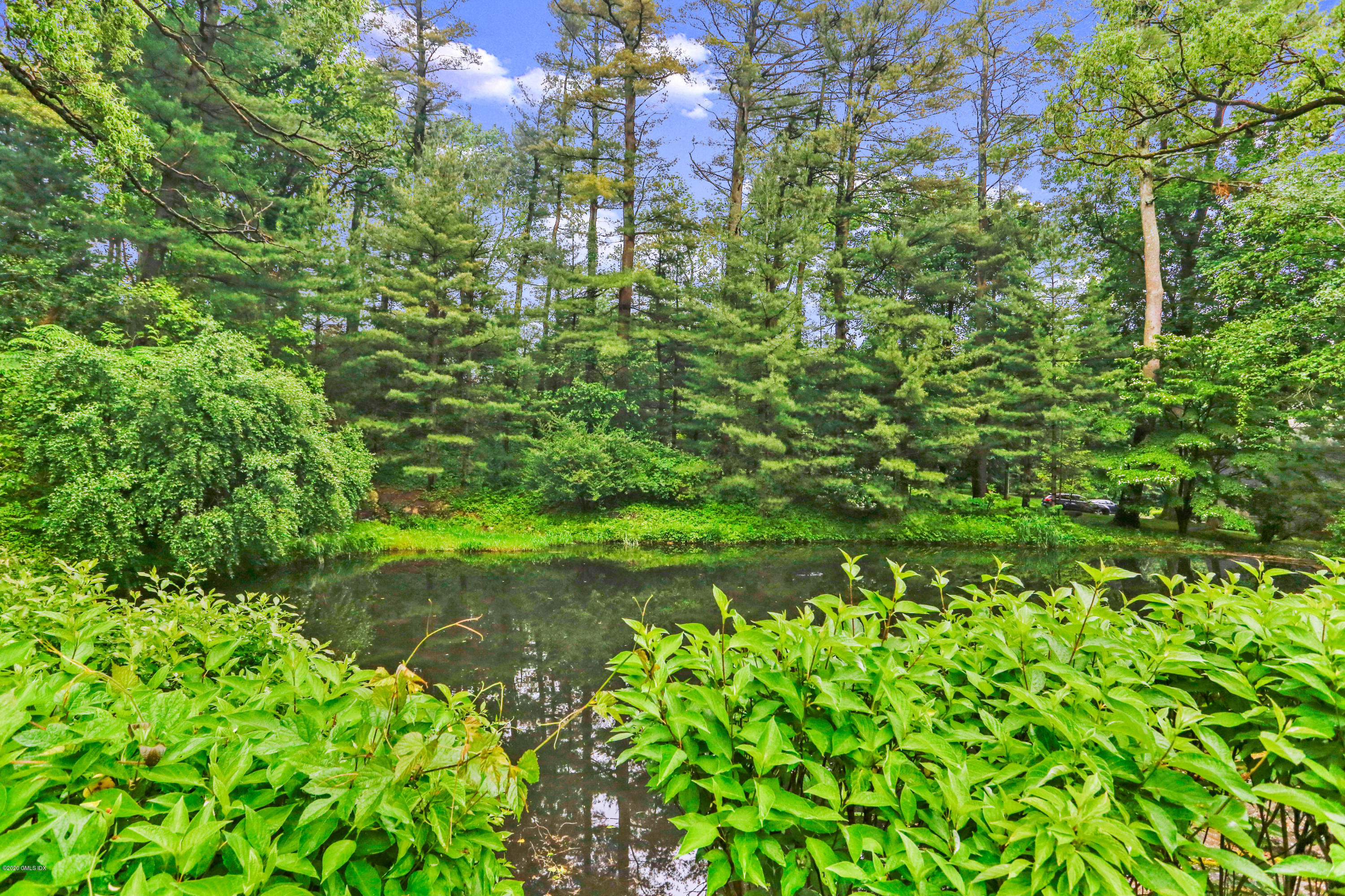 65 Ridgeview Avenue Greenwich, CT 06830 - Photo 47 of 50 a backyard of a house with lots of green space