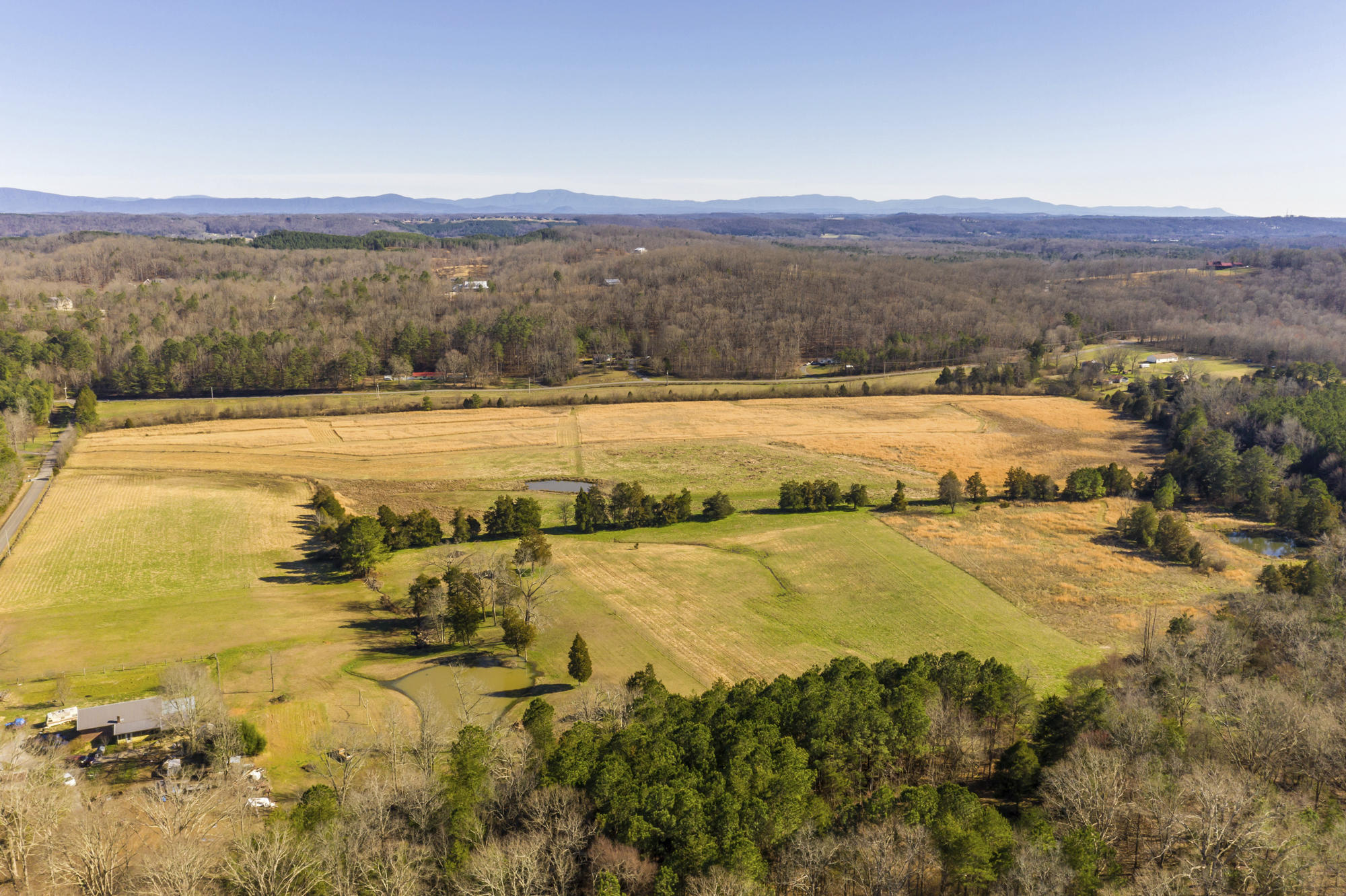 Lot # Northwest Francisco Road, Unit LOT # 2 Georgetown, TN 37336 - Photo 2 of 9 No Pone 3 - Copy