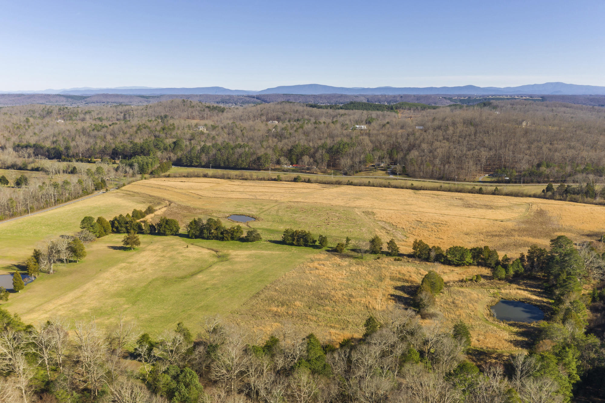 Lot # Northwest Francisco Road, Unit LOT # 2 Georgetown, TN 37336 - Photo 3 of 9 No Pone 6 - Copy