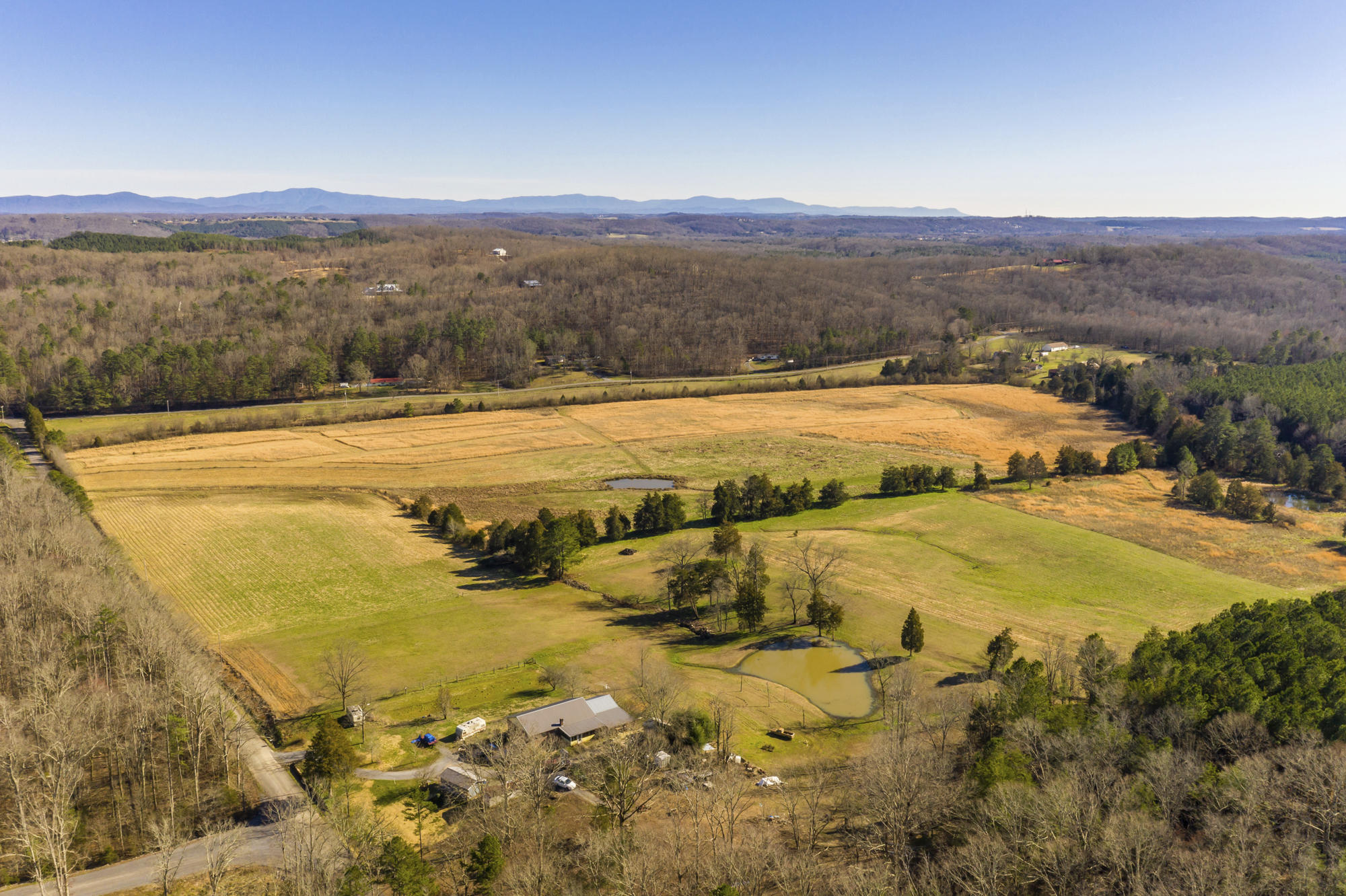 Lot # Northwest Francisco Road, Unit LOT # 2 Georgetown, TN 37336 - Photo 4 of 9 No Pone 2 - Copy (2) - Copy