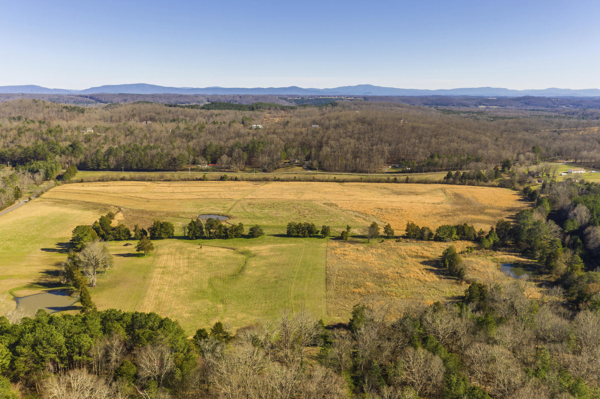 Lot # Northwest Francisco Road, Unit LOT # 2 Georgetown, TN 37336 - Photo 7 of 9 No Pone 7 - Copy