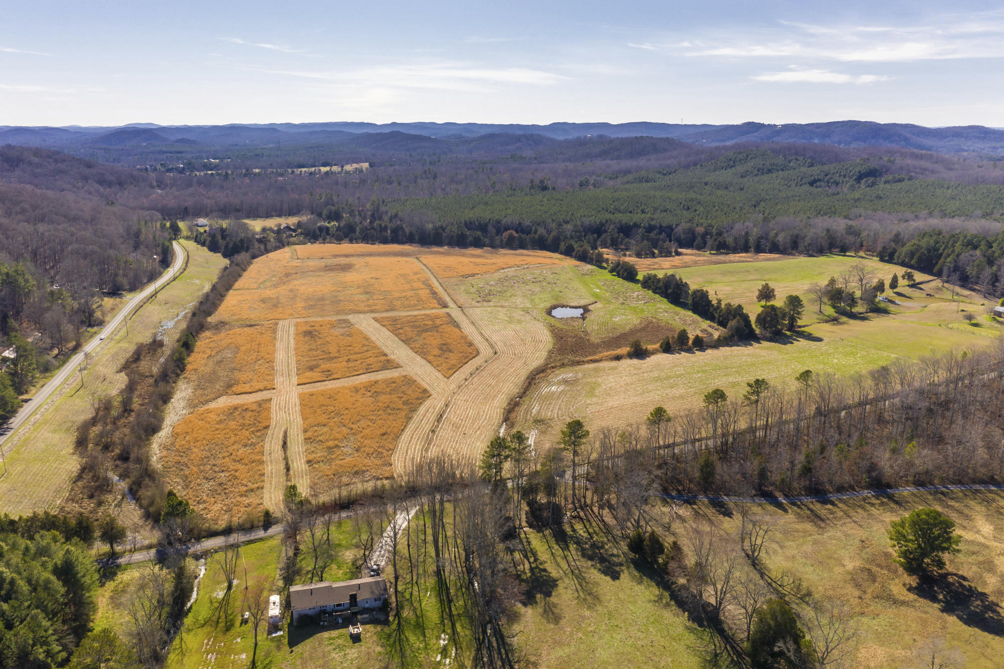 Lot # Northwest Francisco Road, Unit LOT # 2 Georgetown, TN 37336 - Photo 8 of 9 No Pone 5