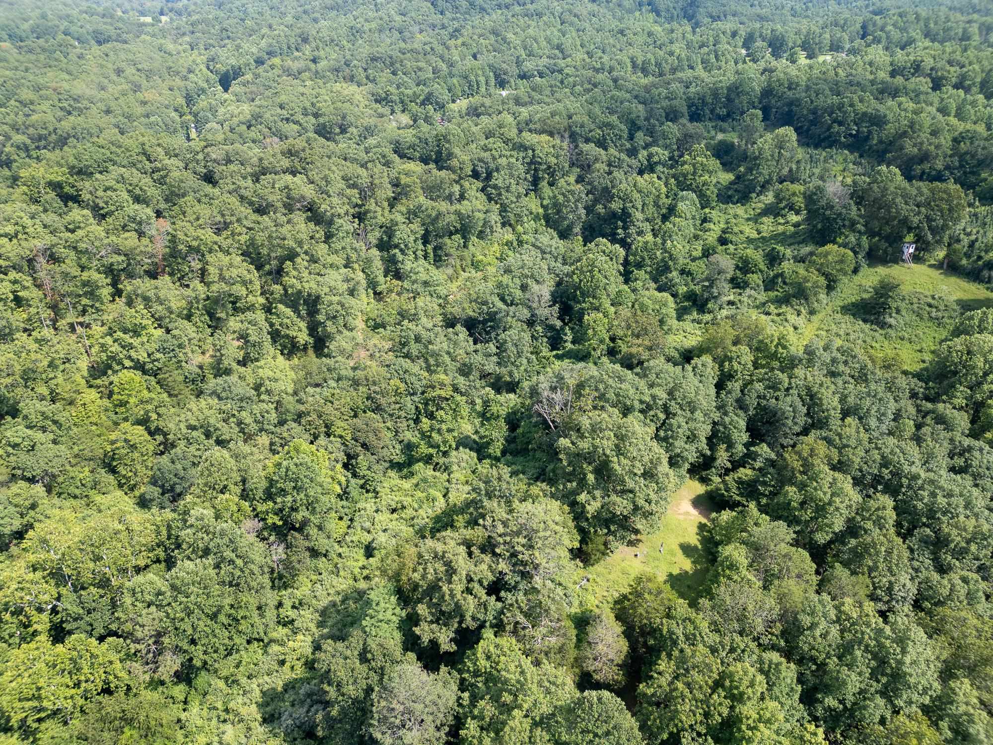 40 2 Mile Road Branchland, WV 25506 - Photo 10 of 28 Gallery Image 10