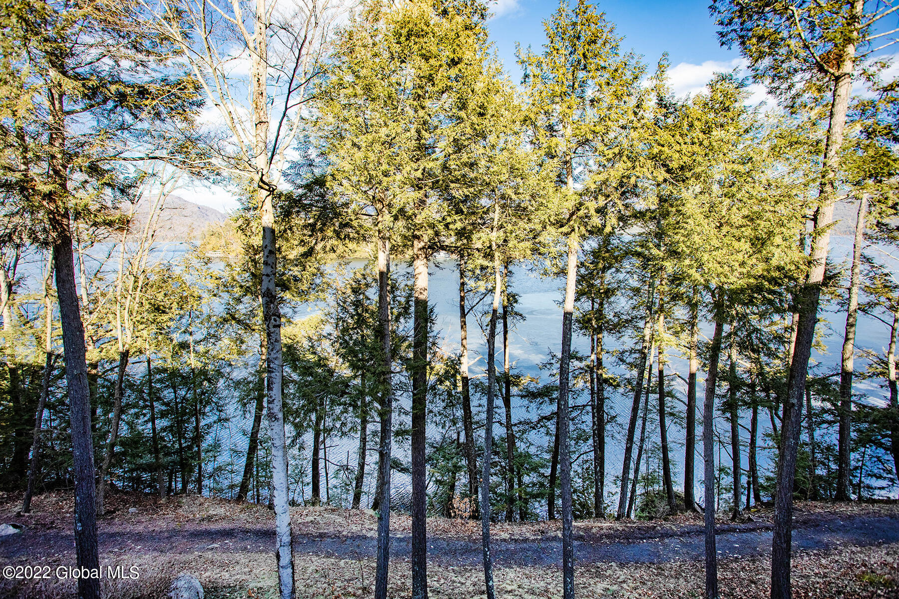 110 Sagamore Road, Unit 5C6 Bolton, NY 12814 - Photo 18 of 40 0018-SagamoreCondo-BoltonLanding-Pinckne