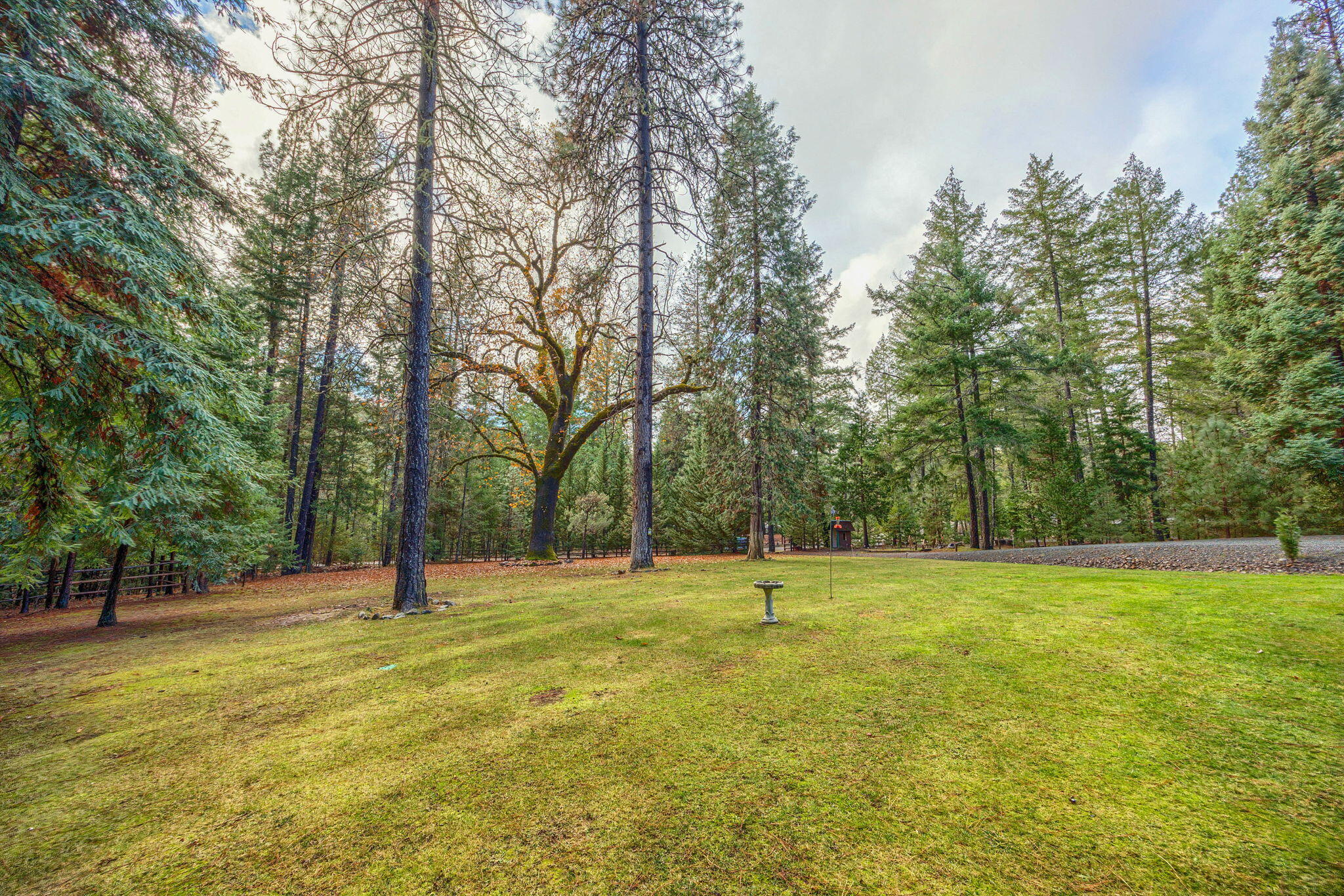 1600 Sykes Creek Road Rogue River, OR 97537 - Photo 31 of 47 ApxSCR (13)