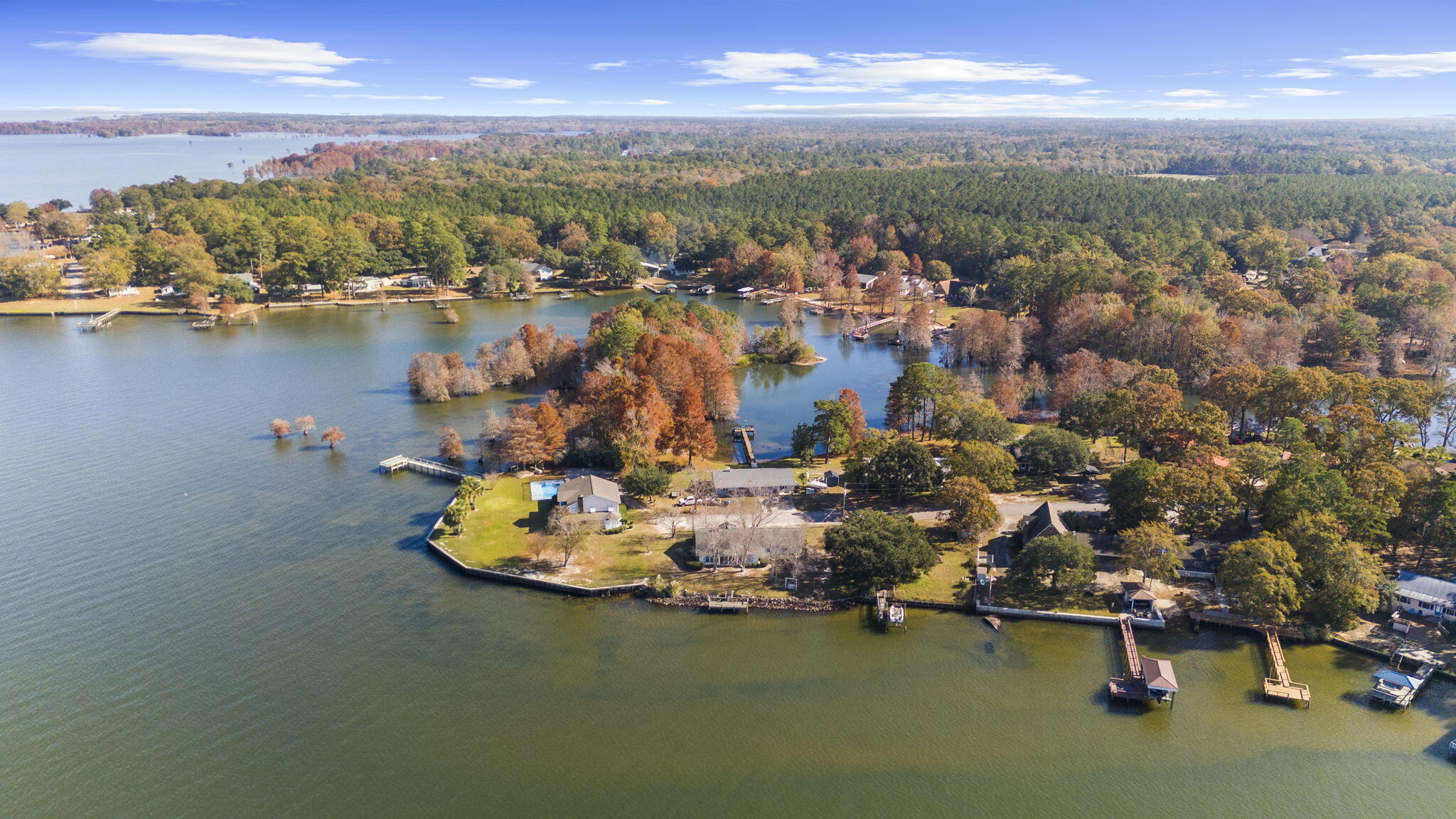 145 State Rd S-38-1754 Eutawville, SC 29048 - Photo 11 of 32 11-web-or-mls-DJI_20251124125817_0685_D