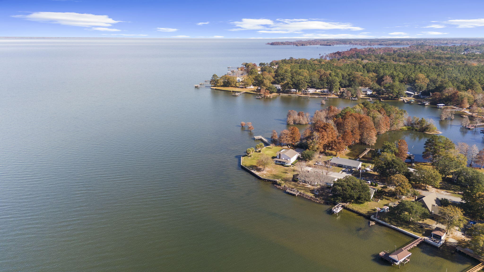 145 State Rd S-38-1754 Eutawville, SC 29048 - Photo 12 of 32 12-web-or-mls-DJI_20251124125834_0690_D