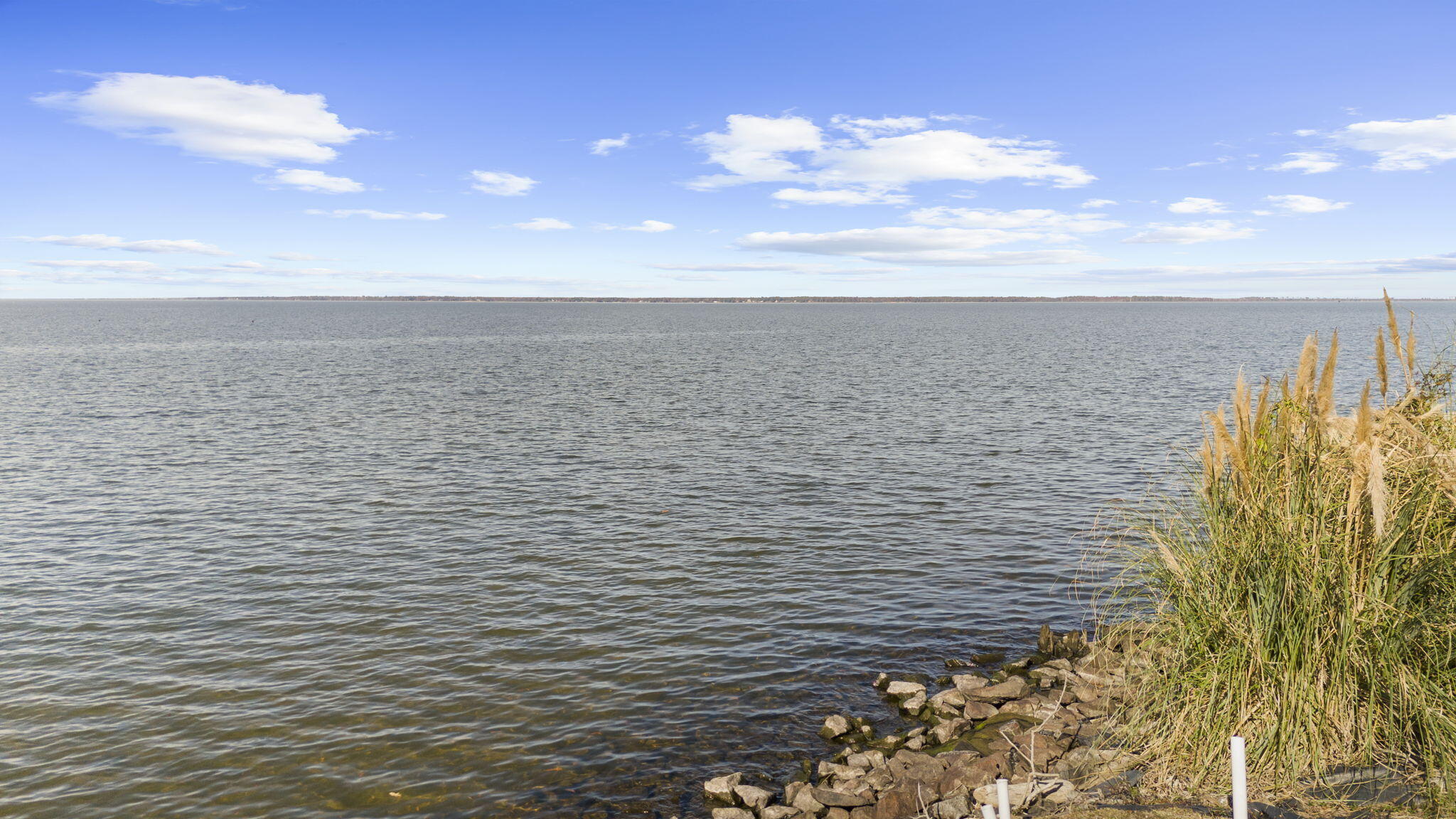 145 State Rd S-38-1754 Eutawville, SC 29048 - Photo 21 of 32 24-web-or-mls-DJI_20251124130229_0760_D