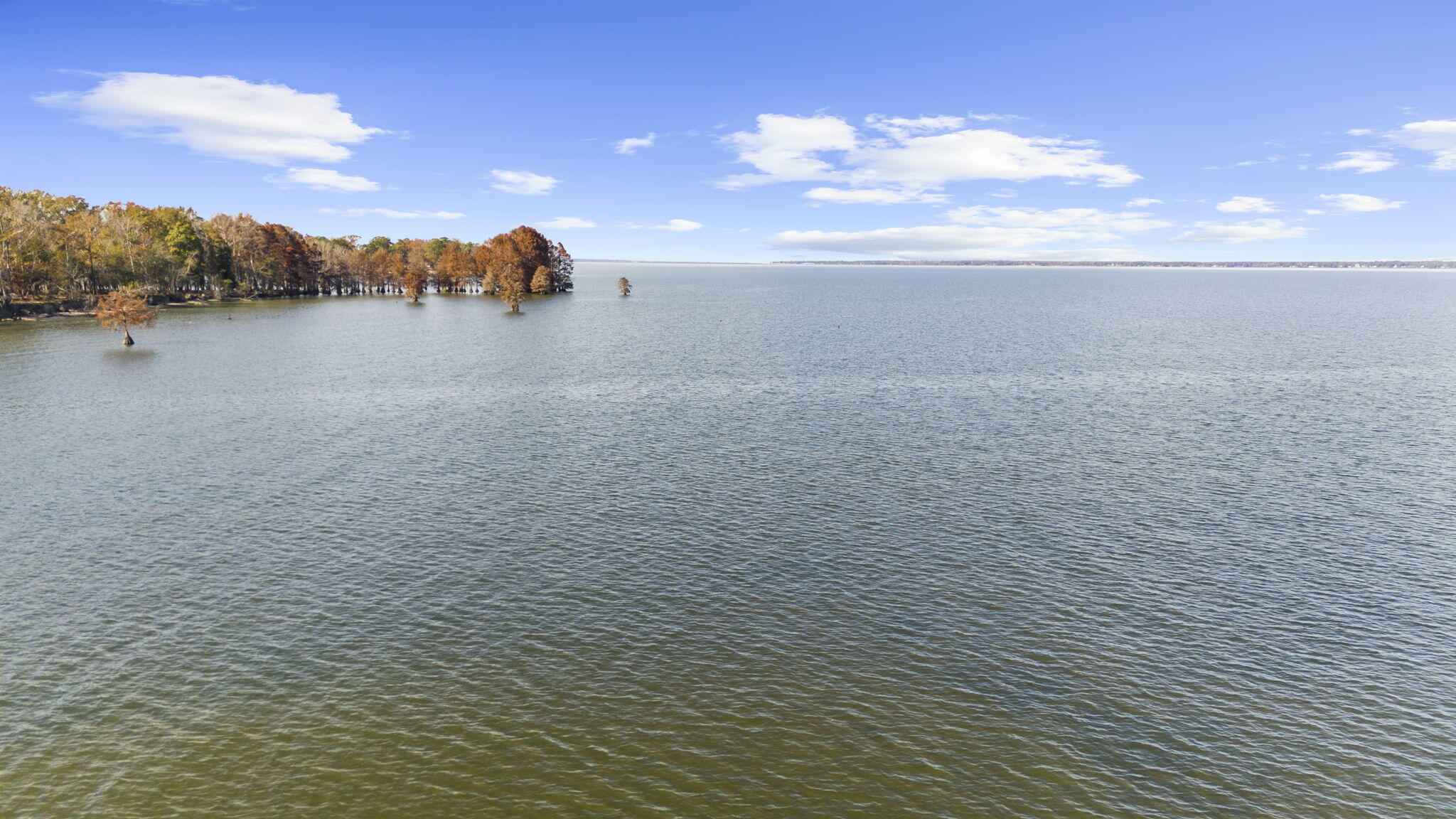 145 State Rd S-38-1754 Eutawville, SC 29048 - Photo 22 of 32 23-web-or-mls-DJI_20251124130151_0755_D