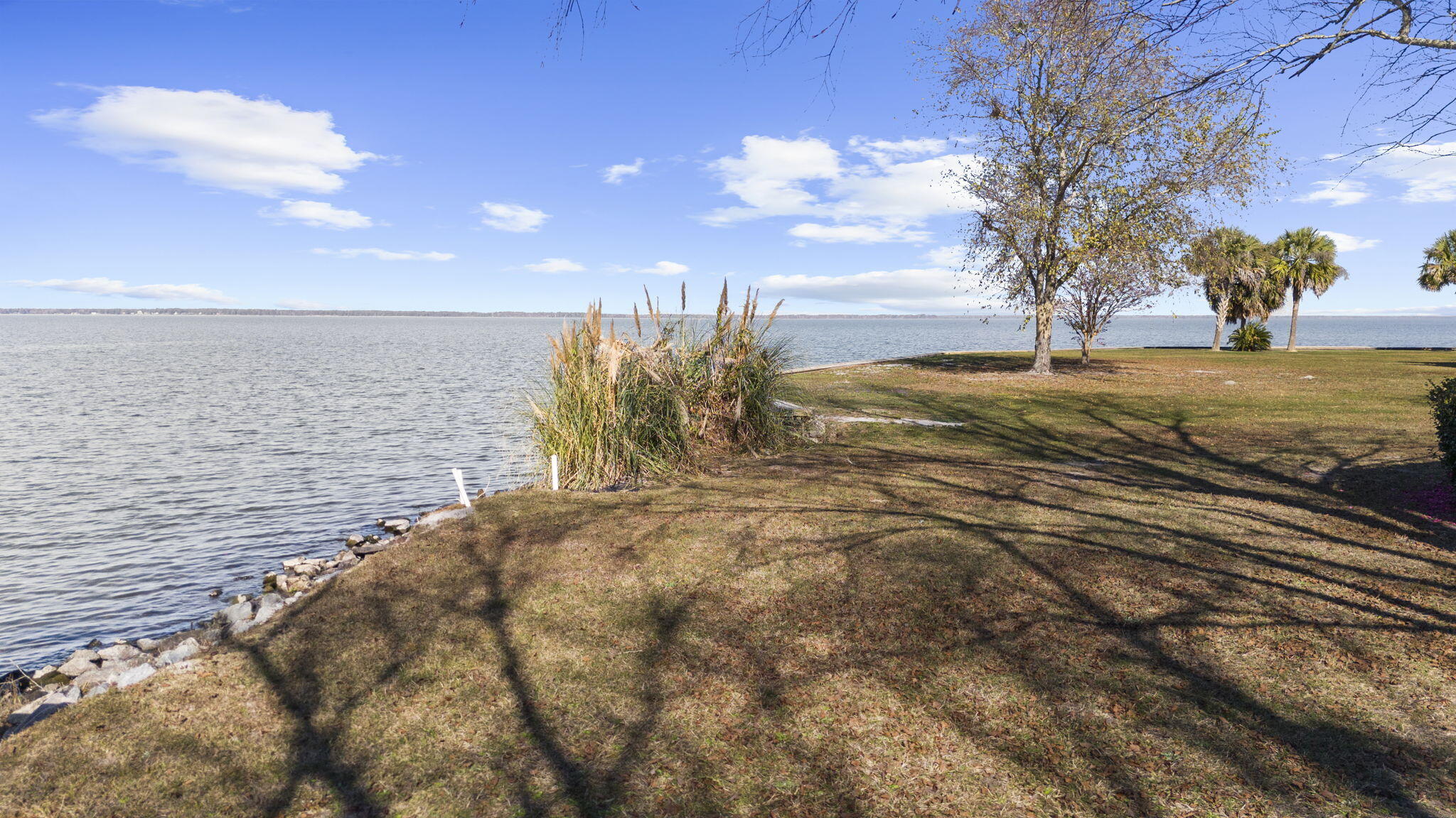 145 State Rd S-38-1754 Eutawville, SC 29048 - Photo 24 of 32 28-web-or-mls-DJI_20251124130311_0780_D