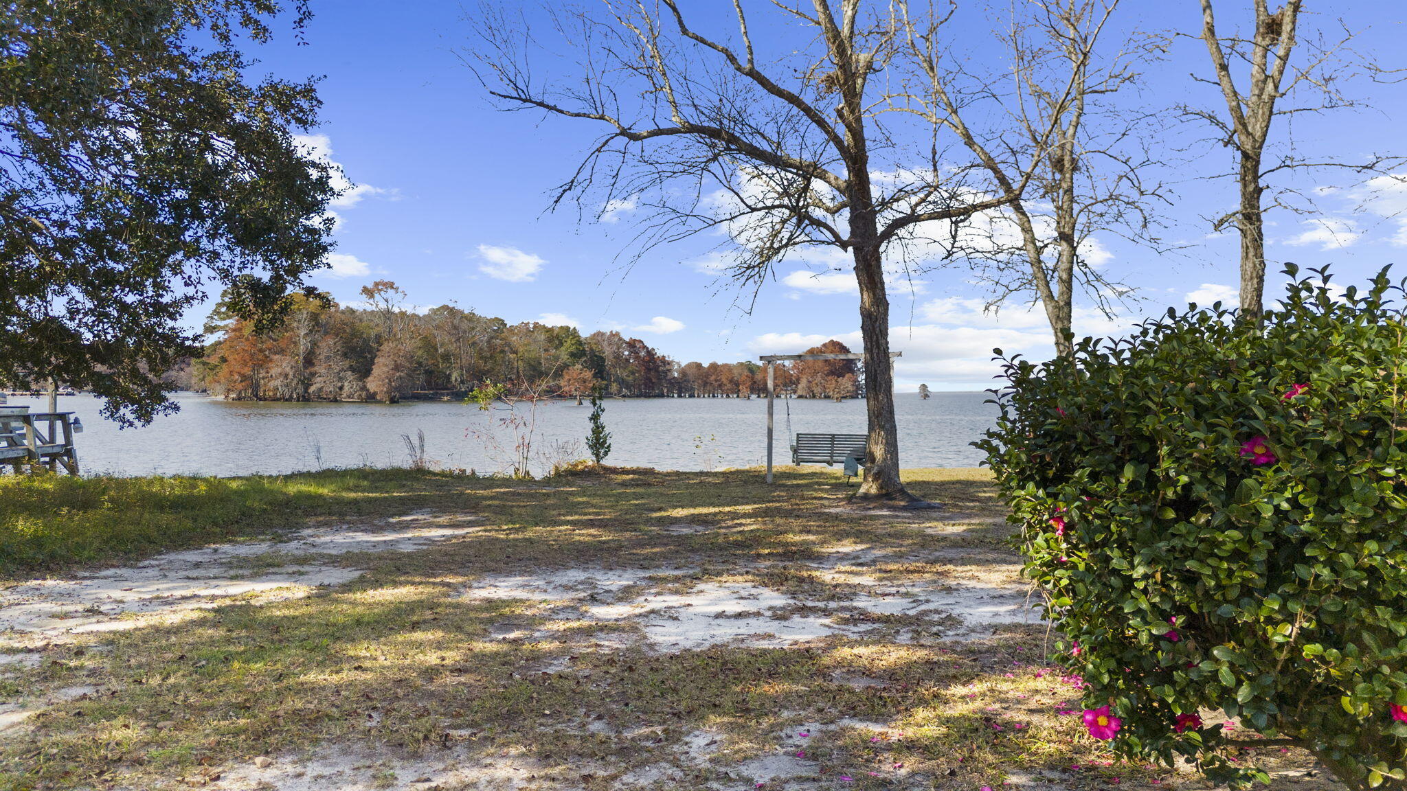 145 State Rd S-38-1754 Eutawville, SC 29048 - Photo 28 of 32 31-web-or-mls-DJI_20251124130549_0805_D