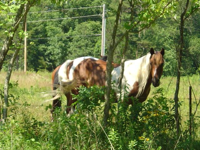 9999 Patton Road London, KY 40744 - Photo 28 of 28 Photo 28