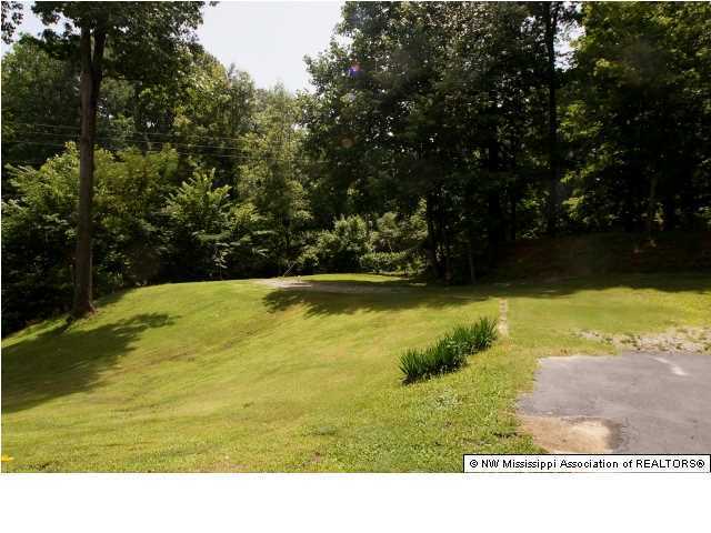 3583 Ben Ledis Ridge Cove Hernando, MS 38632 - Photo 2 of 21 Additional Photo