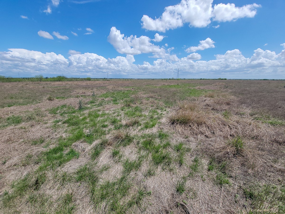 Tbd Berger Road Schulenburg, TX 78956 - Photo 9 of 10