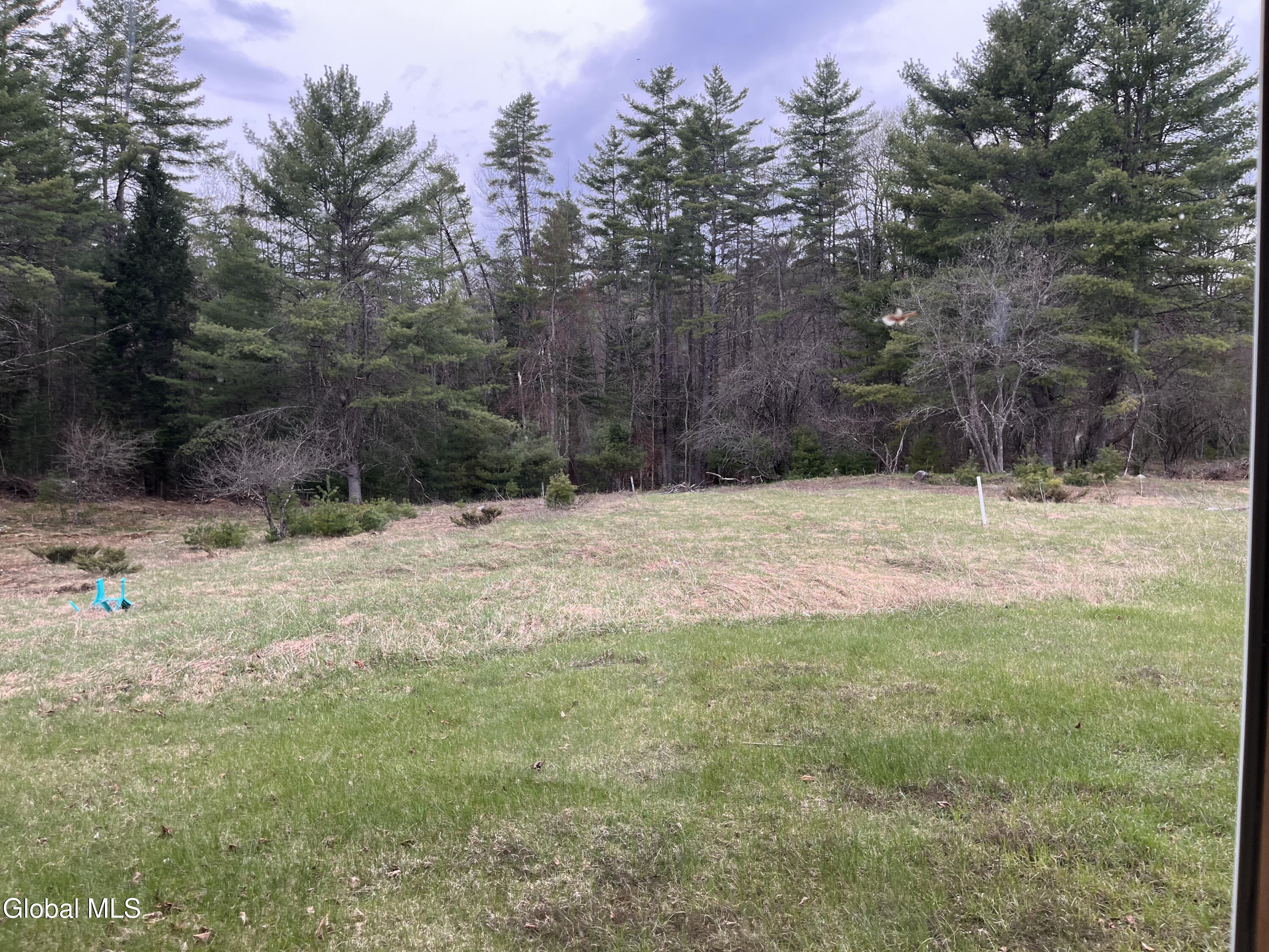 100 Fish Hollow Road Chester, NY 12853 - Photo 32 of 94 IMG_5123