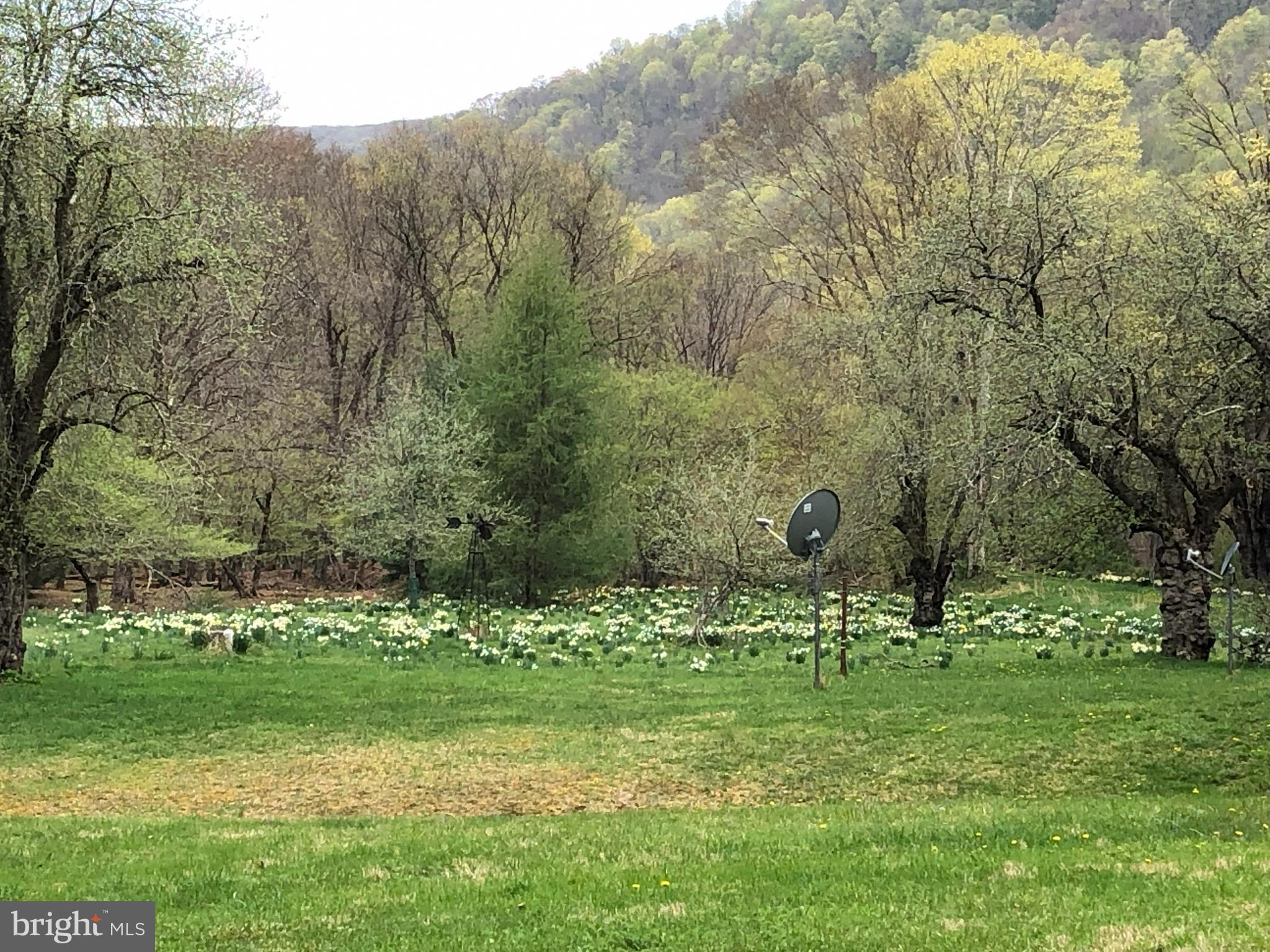 1227 Cross Fork Creek Road Cross Fork, PA 17729 - Photo 136 of 139