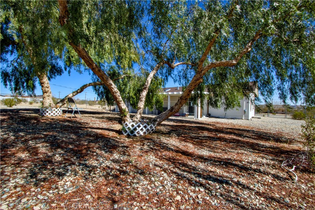 4742 Avenida La Mirada Joshua Tree, CA 92252 - Photo 33 of 45 a view of backyard with green space