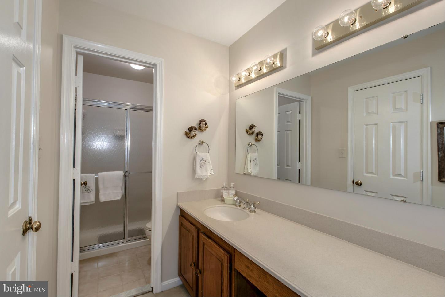 8176 Cliffview Avenue Springfield, VA 22153 - Photo 14 of 27 Bath (Master)