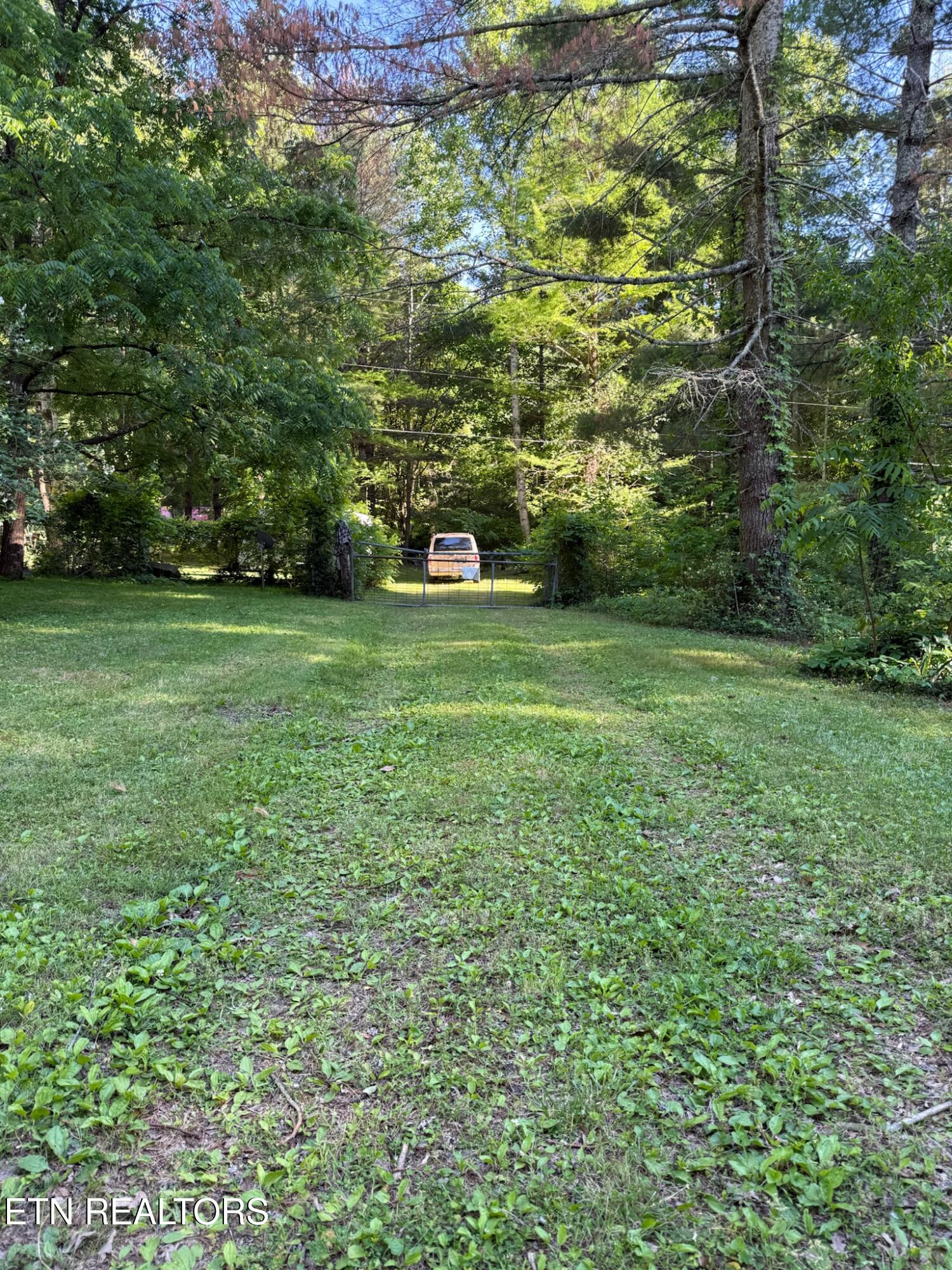 992 Chicken Hollow Road Newport, TN 37821 - Photo 7 of 37 IMG_0127