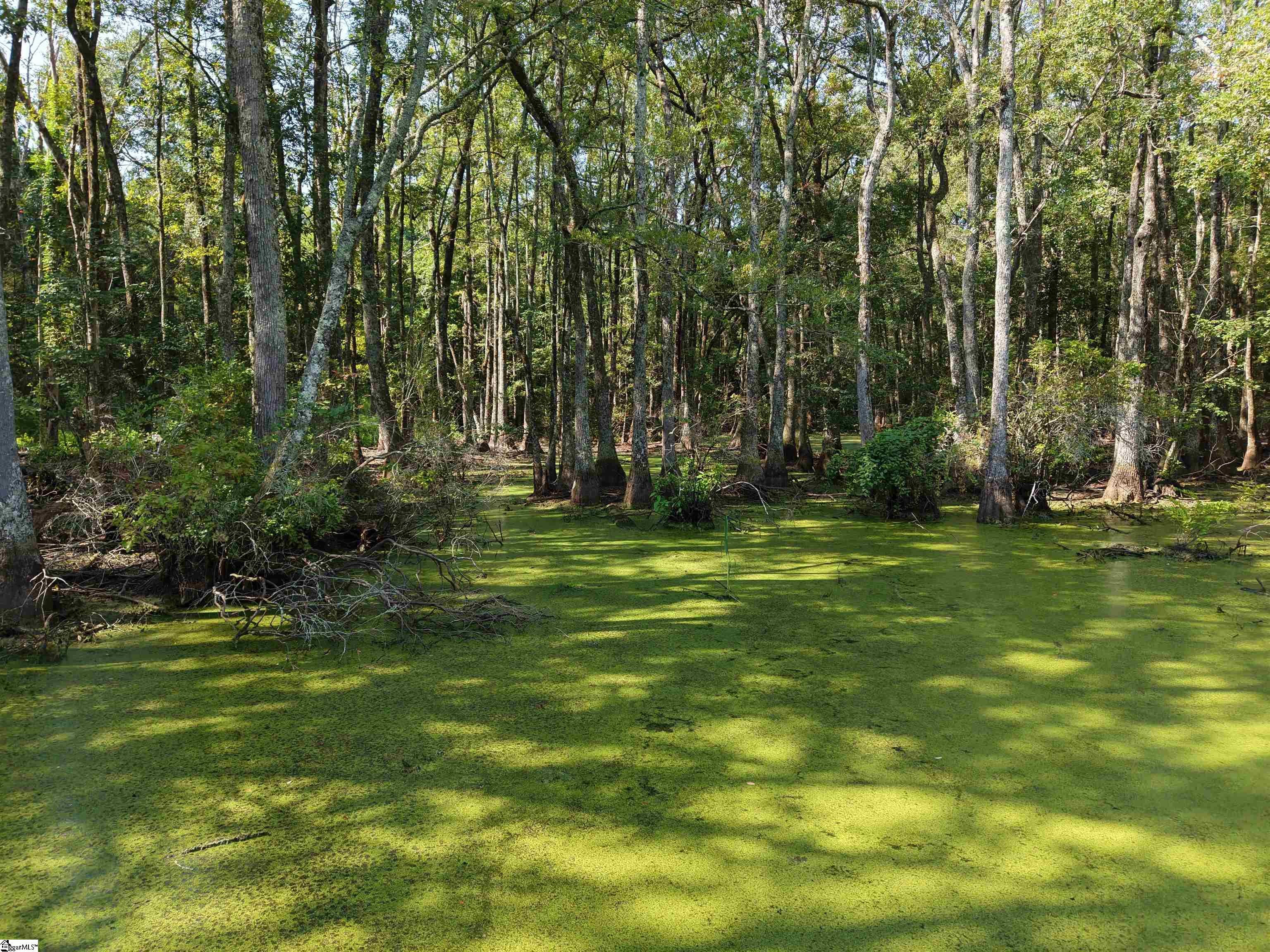 0 Able Road Bamberg, SC 29003 - Photo 4 of 13 Gallery Image 4