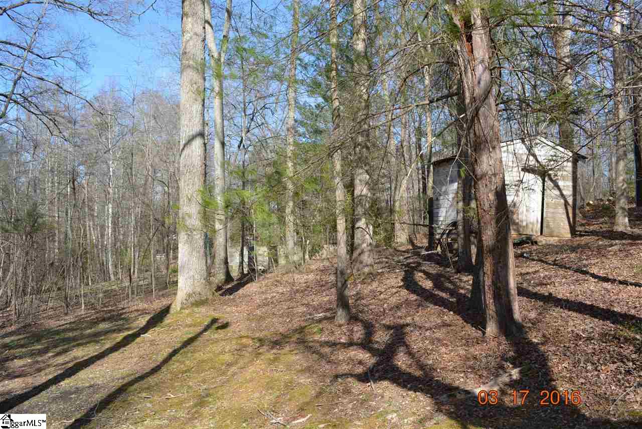 140 Trammell Road Marietta, SC 29661 - Photo 6 of 23