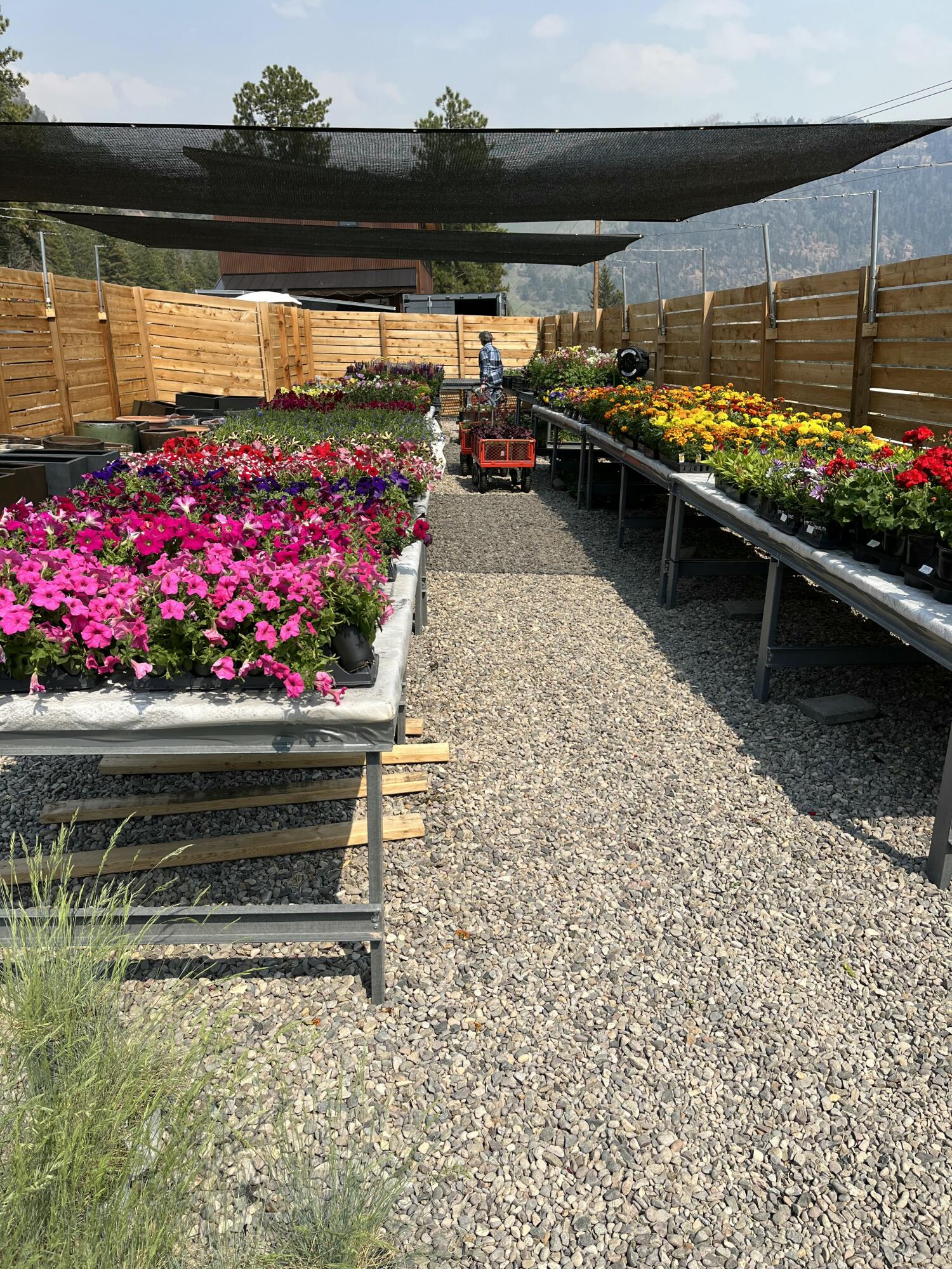 717 South South Park Road Telluride, CO 81435 - Photo 19 of 27 IMG_1901